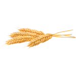 Getreide