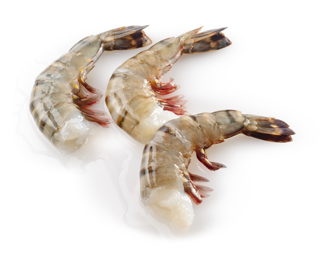 Black Tiger HLSO easy peel 13/15 10 x 1 kg 25%-BD