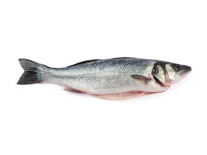 Seabass Whole Gutted IQF 300/400 grs 20% 5 Kg-TR