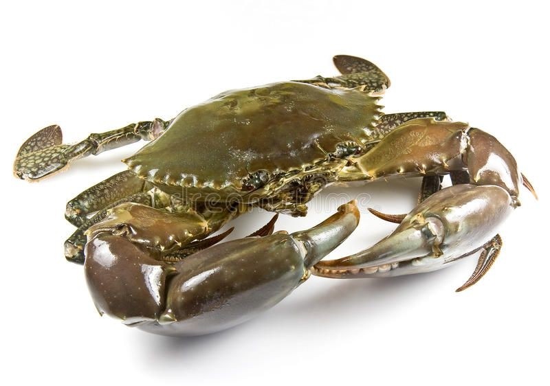 Mangrove Crab WR 200/300gr 1x5kg 100% NW - MG