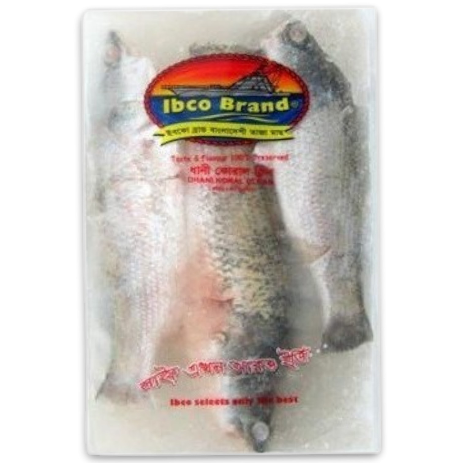 Koral / Barramundi Clean 12 x 500 gr-BD