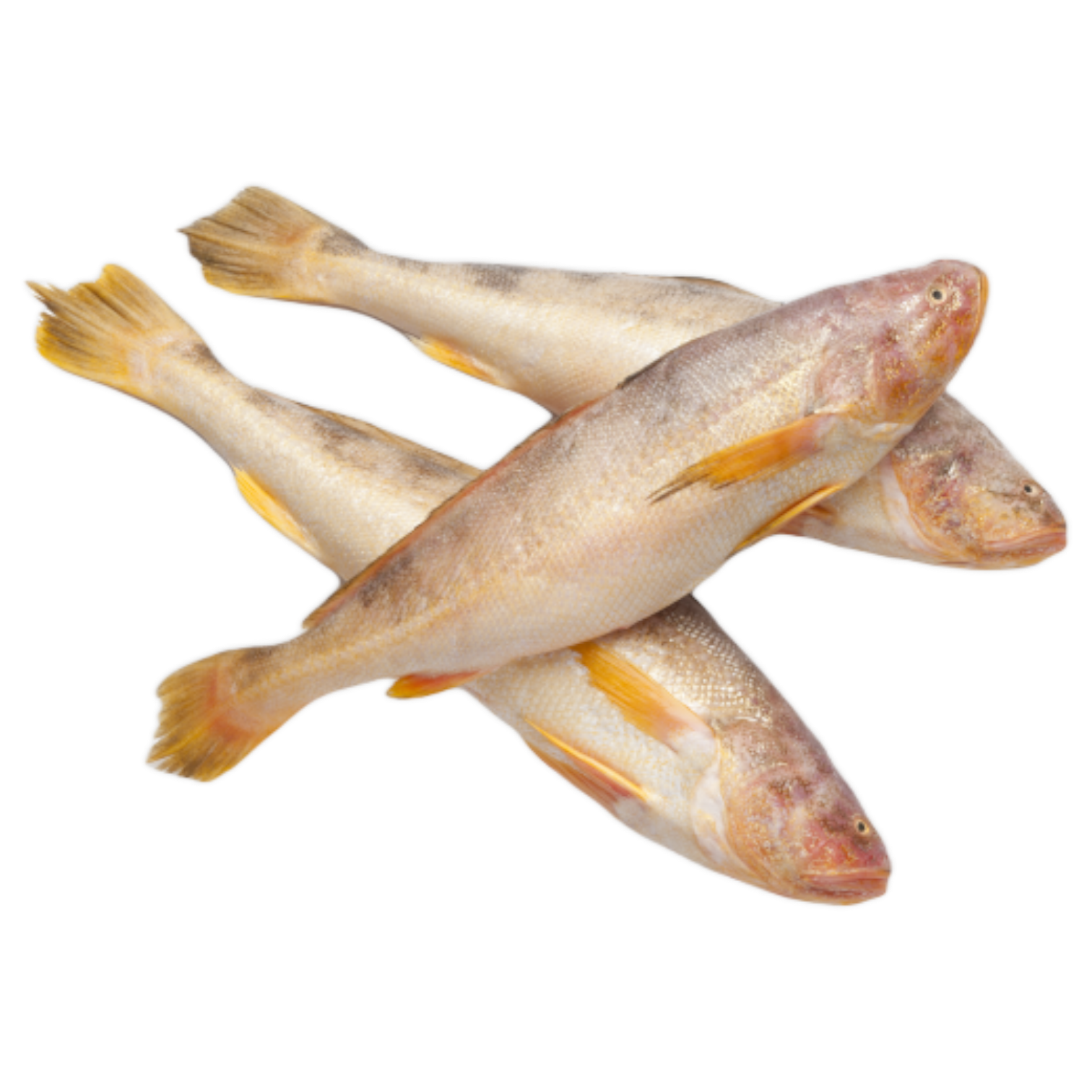 Jona Butterfish G&S Panready 200-300 10 x 1 Kg IQF-SR