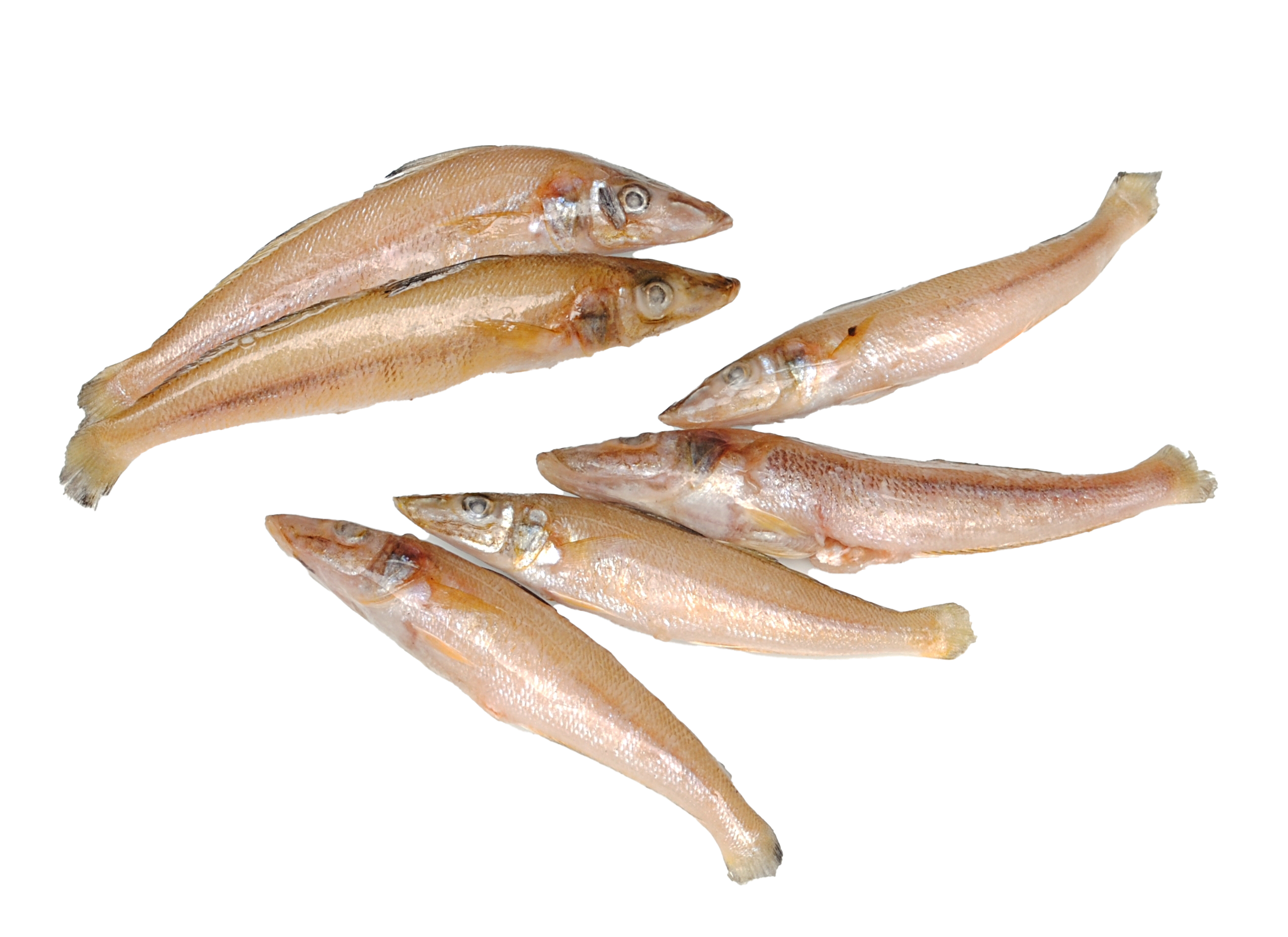BBD 03-23 Ladyfish/S. Silago/Kilakan Gutted 20/30 10x1 kg-IN