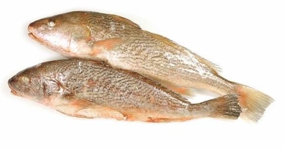 Yellow Croakers Gutted & Scaled 800-1200 gr 2 x 3 kg-AR