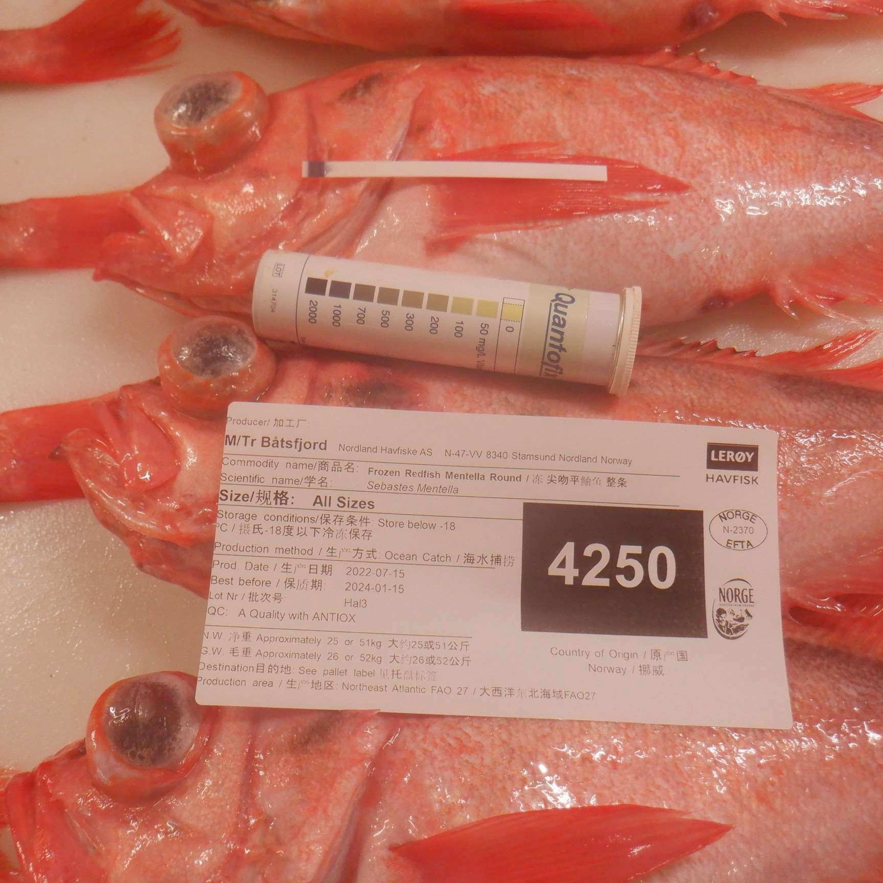 Redfish/S.Mentella A Grade Antiox Mix 30-35pc WR ~20,5 Kg-NO