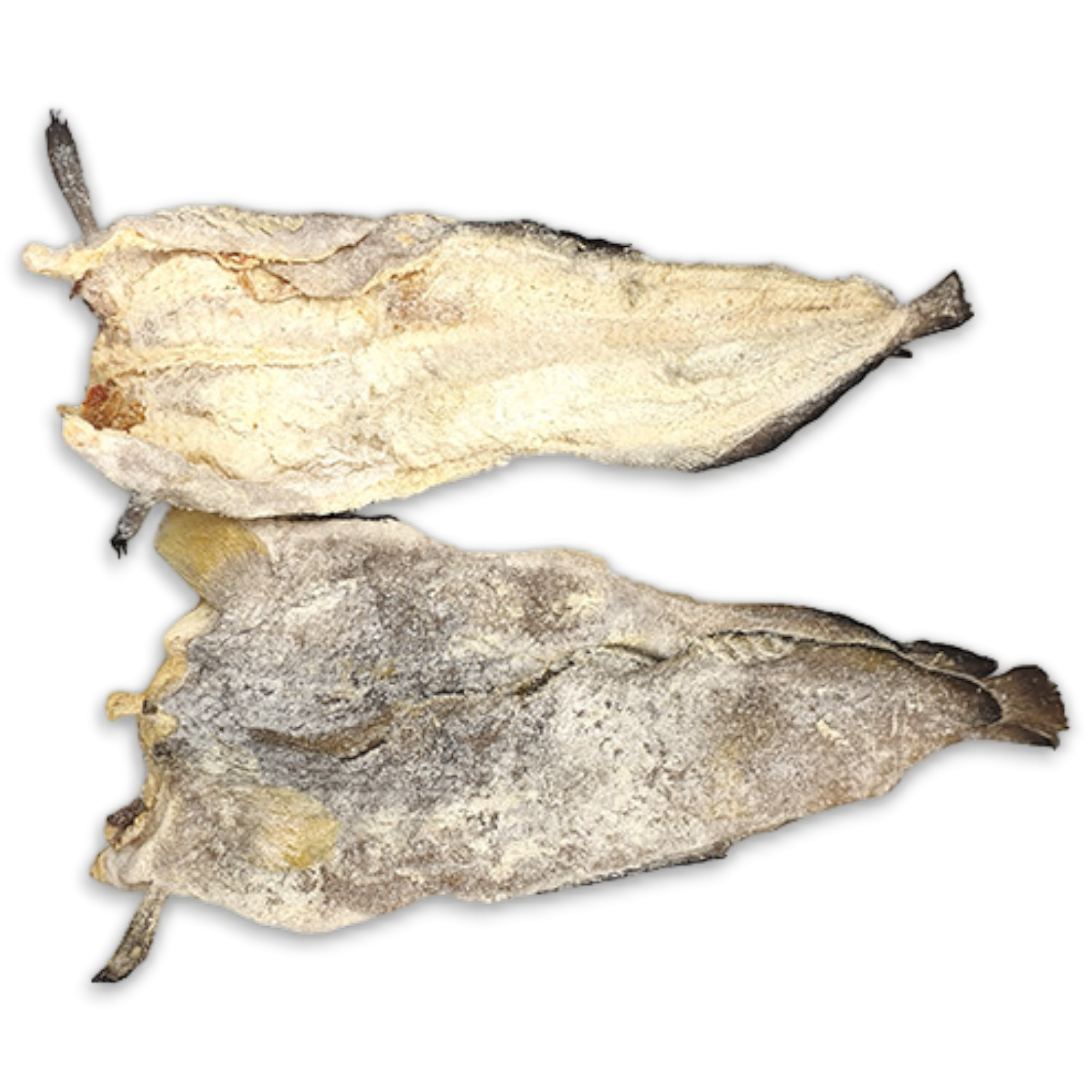 Sole DS Tusk -Brosme Brosme- 21/30 3 Kg - NO