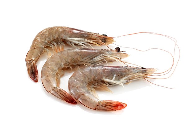 Vannamei shrimps HOSO 30/40 12 x 1 kg 25% -ECUADOR