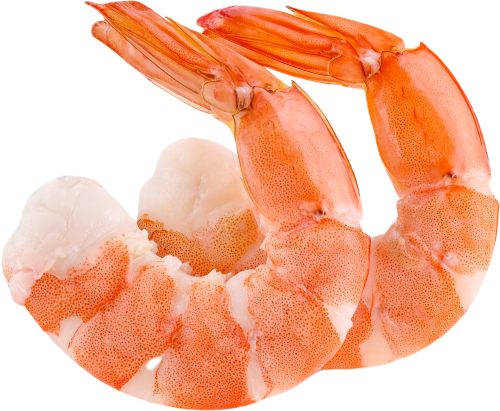 Vannamei shrimps CPTO 41/50 10 x 1 kg 20%-IN