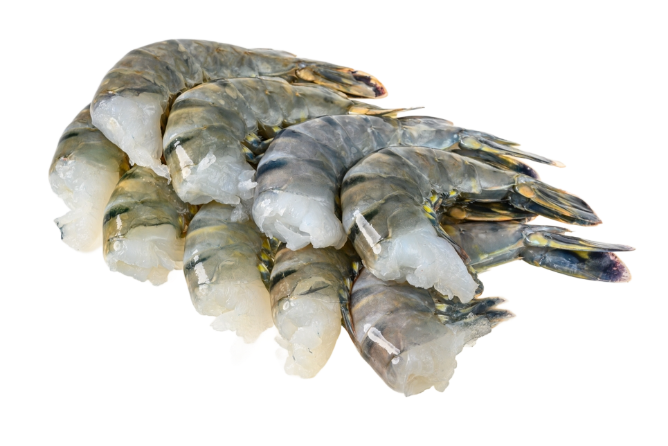 Seacon Black Tiger HLSO ezp 13/15 IQF 10 x 1kg 20% -IN