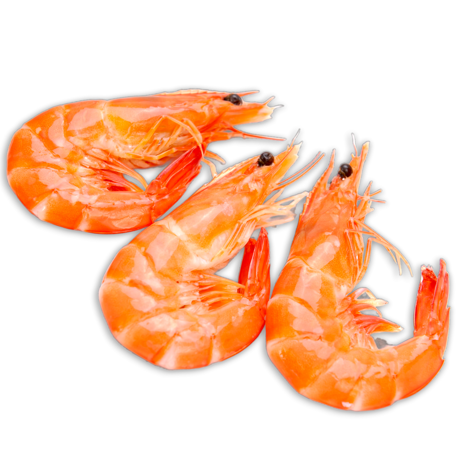 Vannamei Cooked HOSO 40/60 4x2 Kg 100% NW -EC