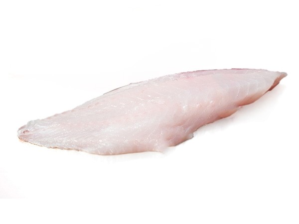 red fish fillets