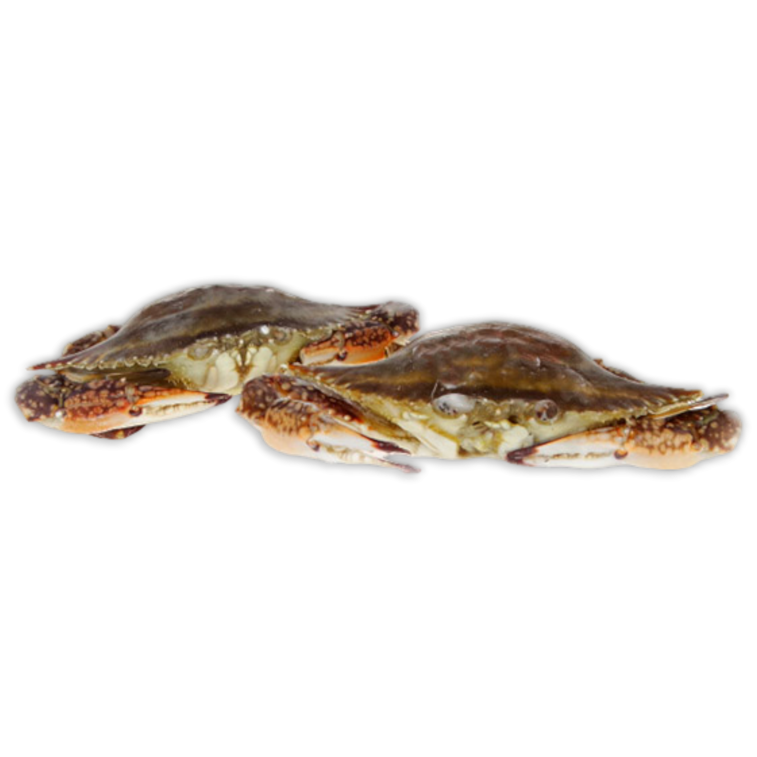 Jona Blue Swimming Crab WR 300-400g IWP 1 x 5kg 20%-CN