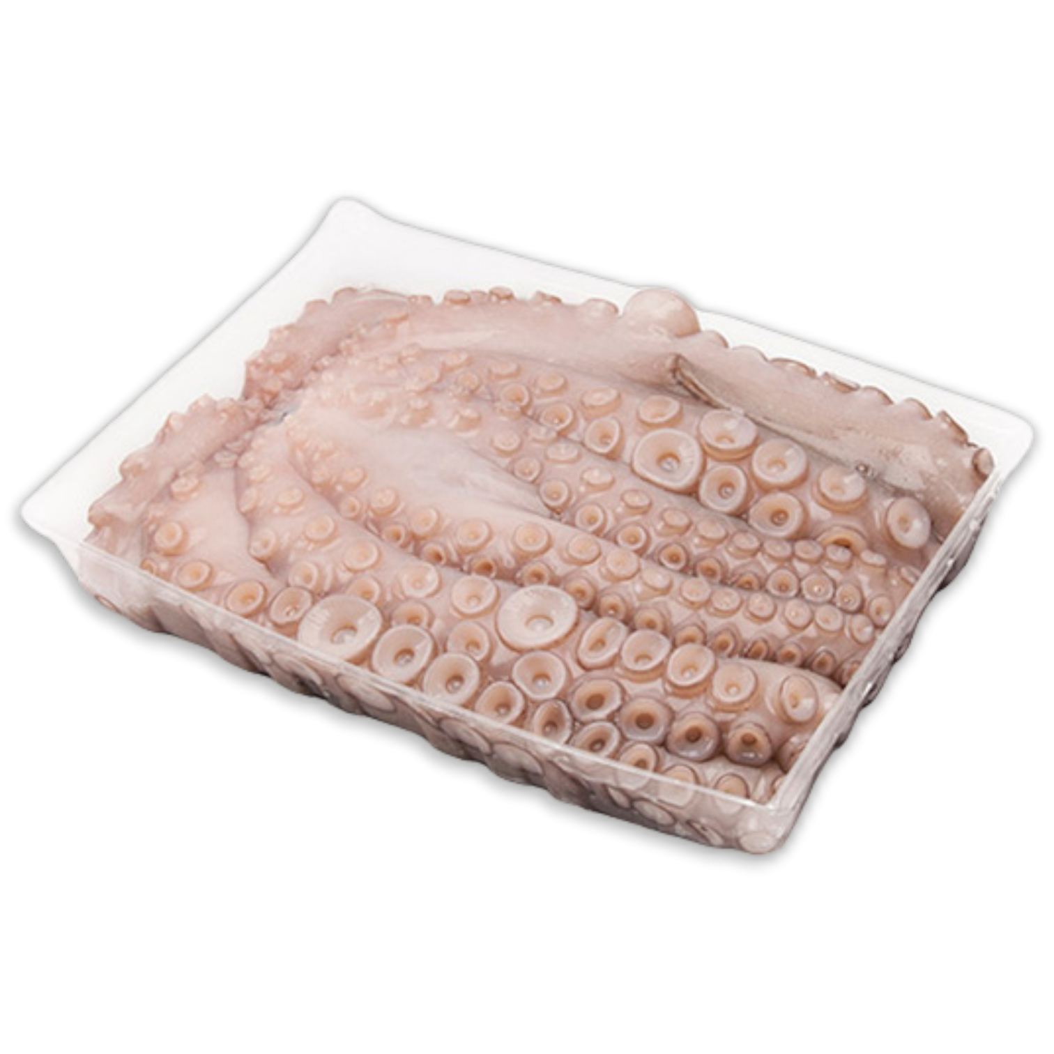 Octopus Vulgaris WR 1-2kg Clean Tray 1 x 12kg-ES
