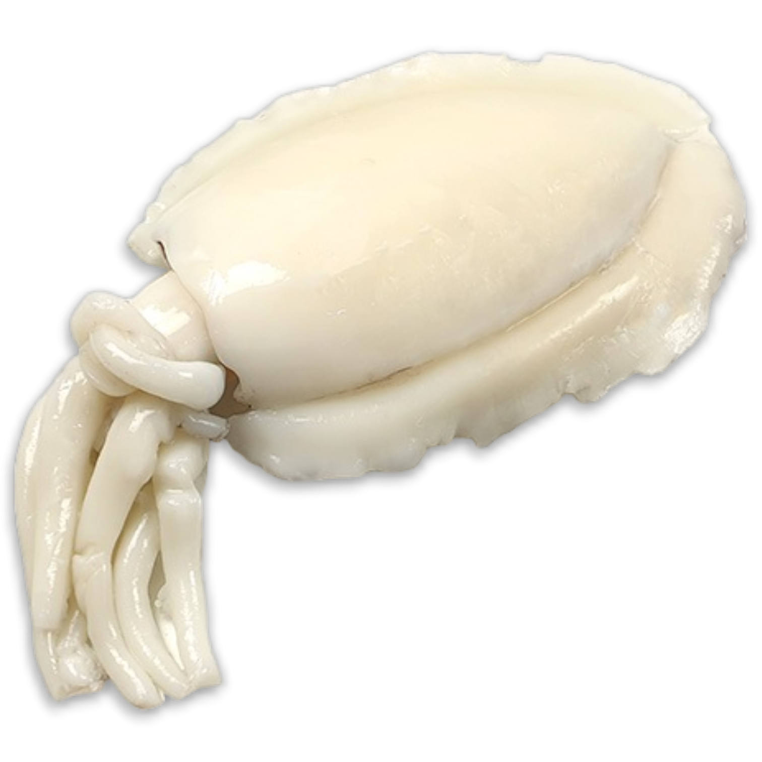 DSD Cuttlefish Whole Clean U1 IWP 1 x 10kg 30% -IN