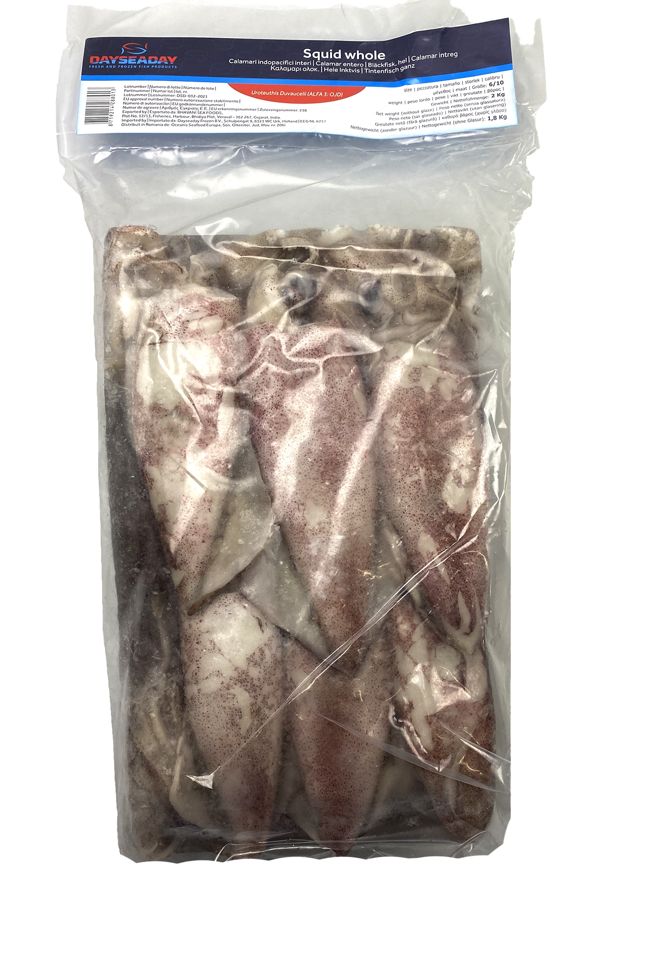 DSD Squid Whole Loligo Duvauceli 6-10 6 x 2 kg 10%-IN