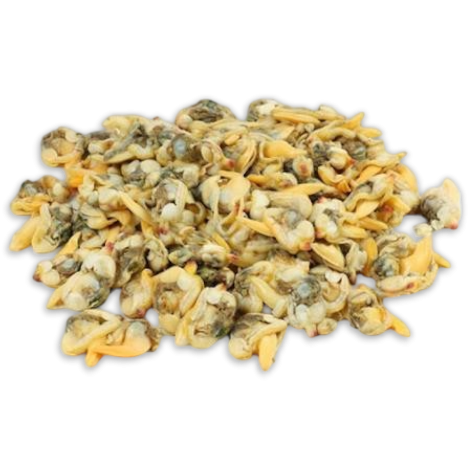 Yellow clam meat cooked 1000+ 10 x 1 kilo IQF-VN