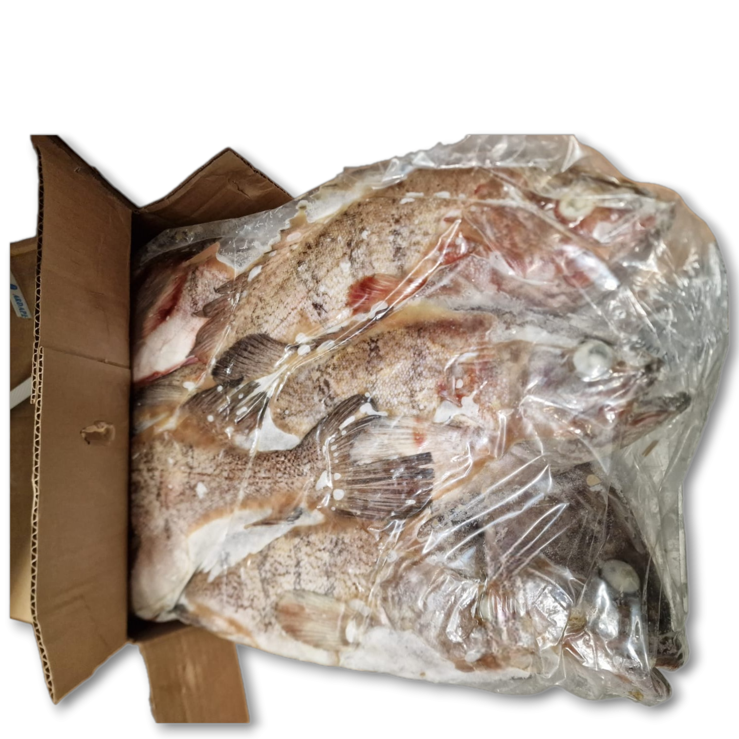 Utimate Taste Argentinian Grouper WR 1kg-UP 1 x 10kg 10% -AR