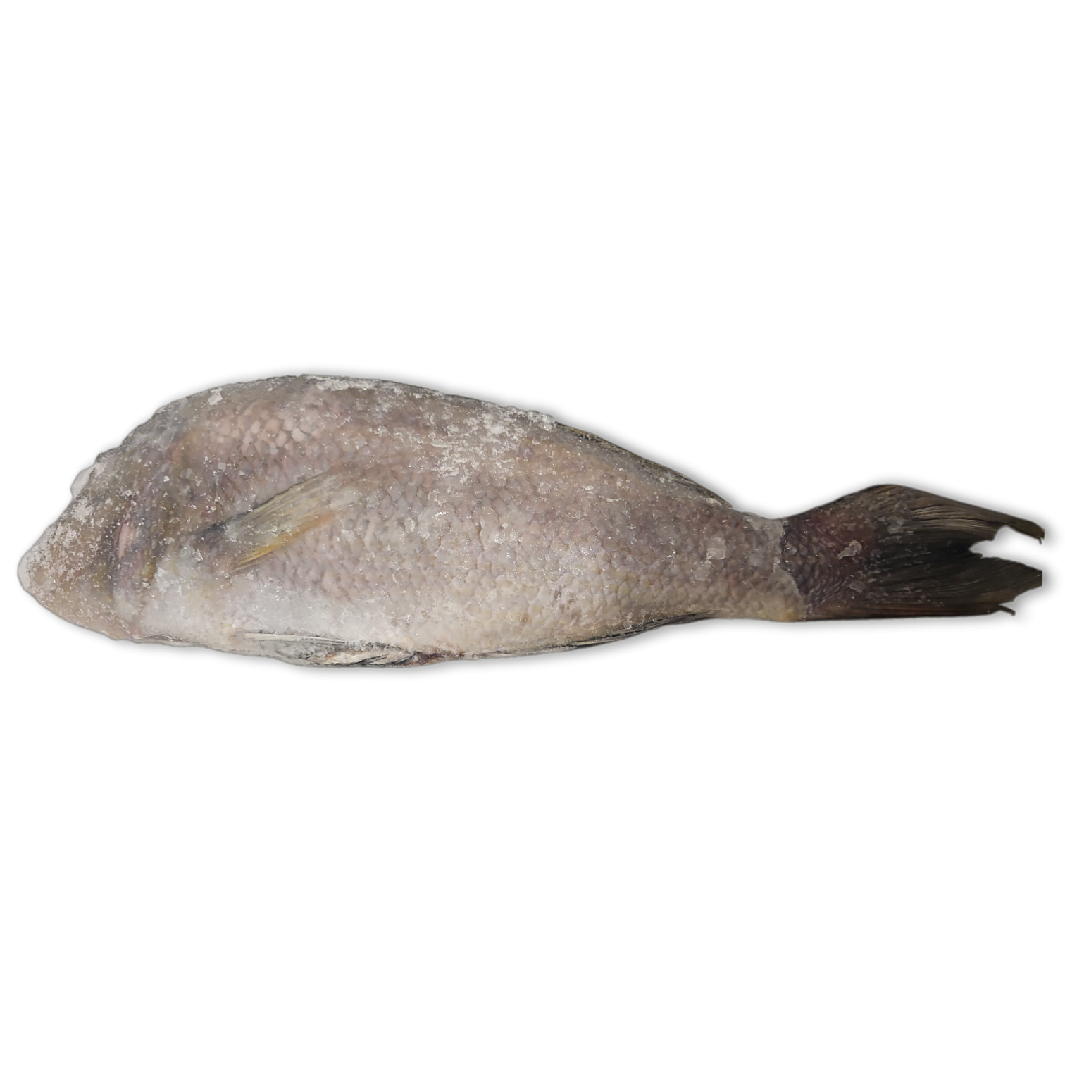 Jona Emperor WGS 2000g-UP IWP 1 x 10kg 10% -IN