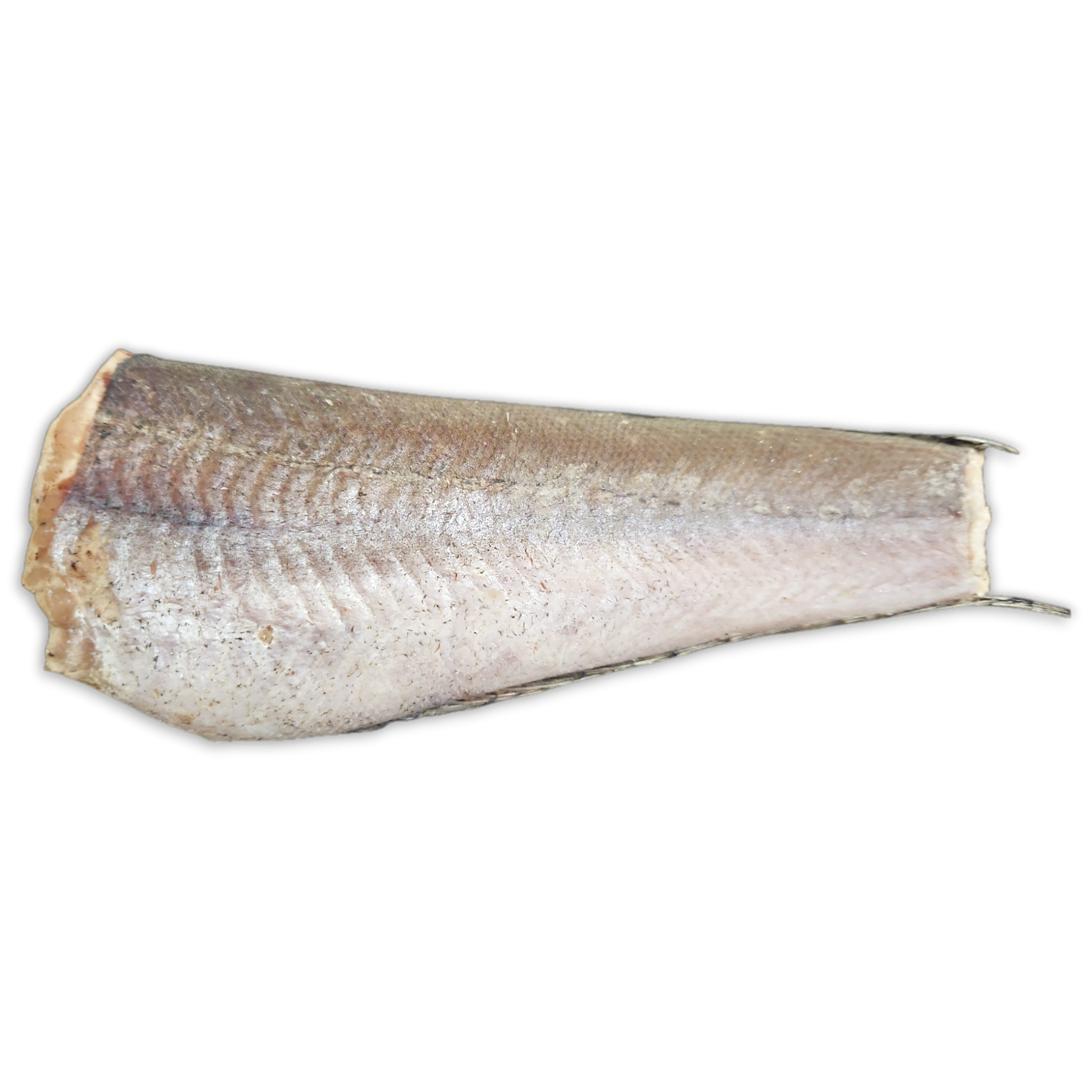 Hake HGT 200-350g IWP 1 x 24kg -MR