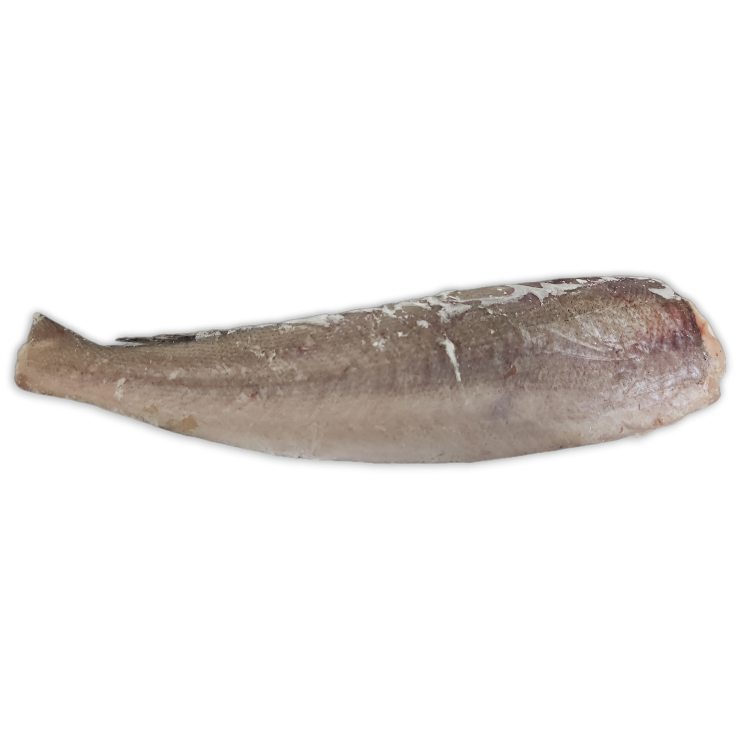 Hake HGT 300-450g IWP 1 x 23kg -MR