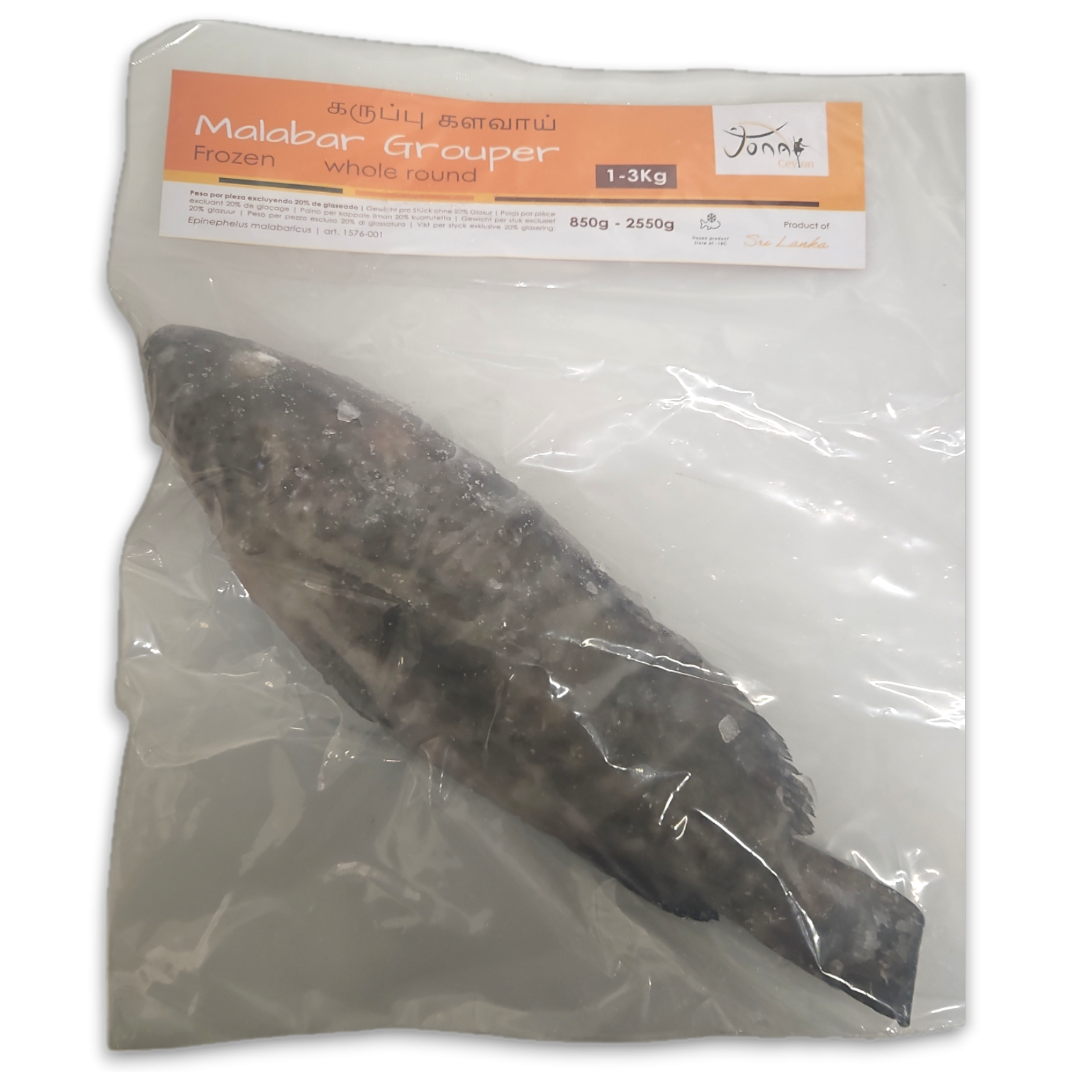 Jona Malabar Grouper WR IWP 15kg -LK