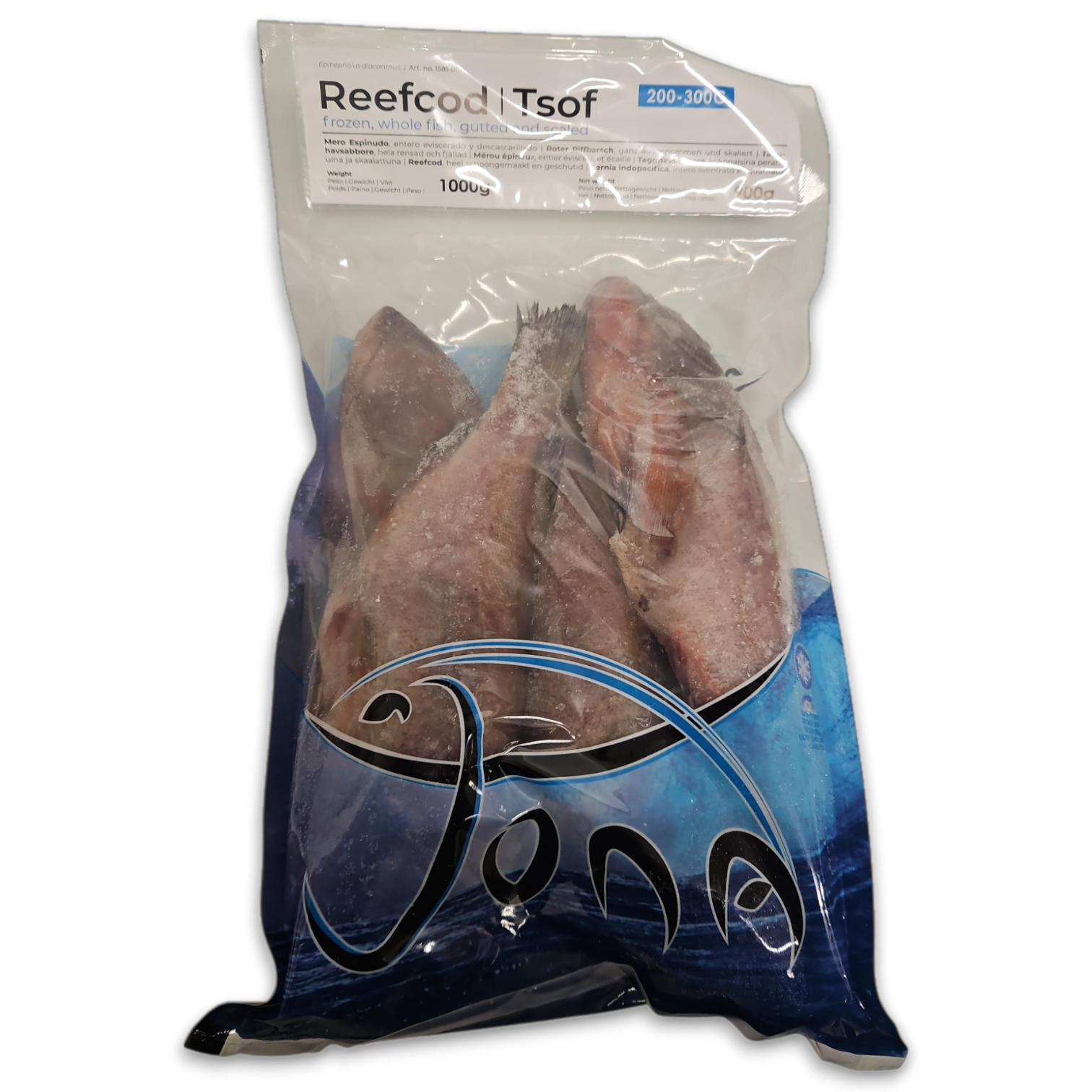 Jona Grouper Tsof 200-300g WGS 12 x 1kg IQF 10% -IN