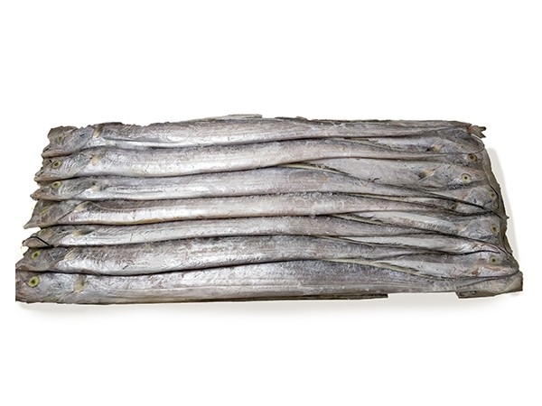 Ribbonfish / Silverbelt WR "A" grade 200-300 gr 1 x 10 kg-IN