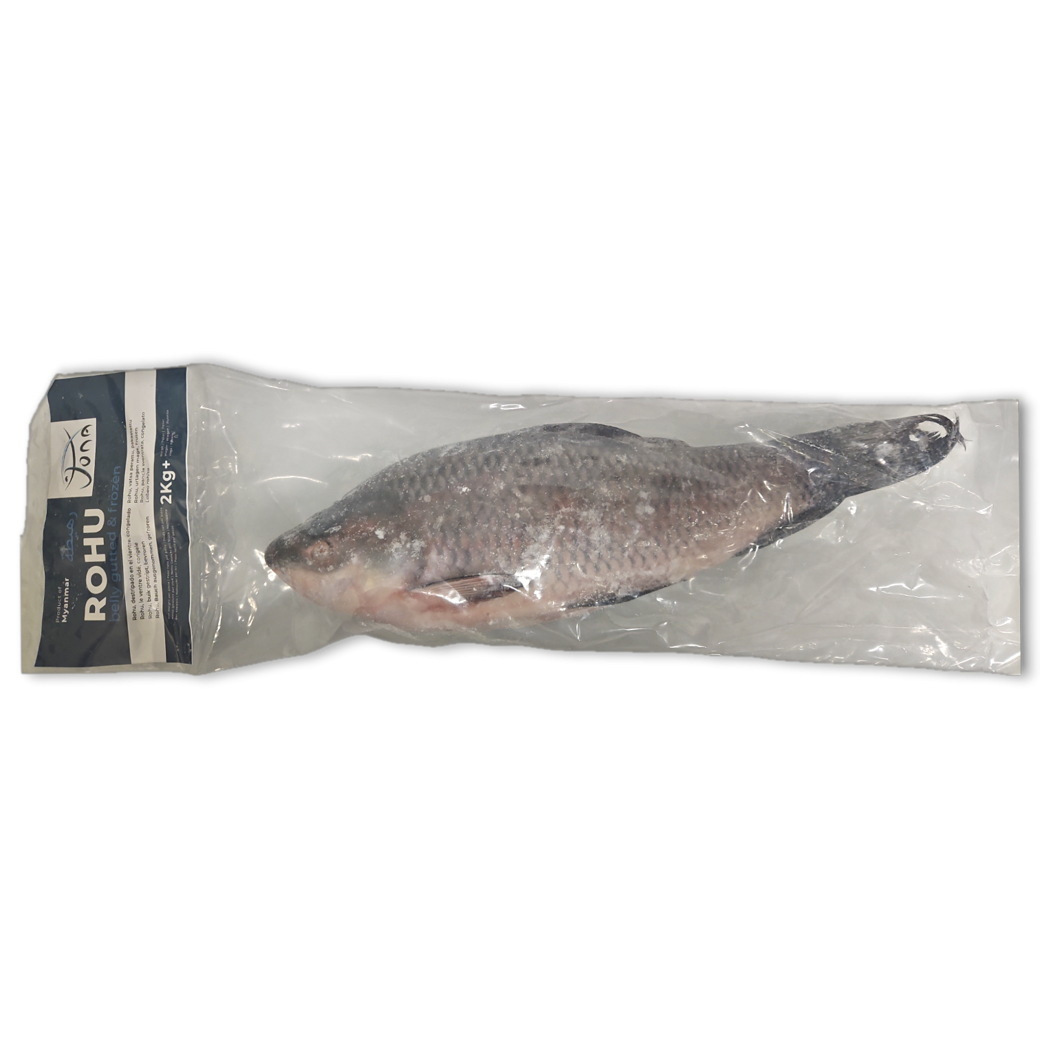 Jona Rohu Belly Gutted 2000g-UP IWP 1 x 20kg 20%-MM
