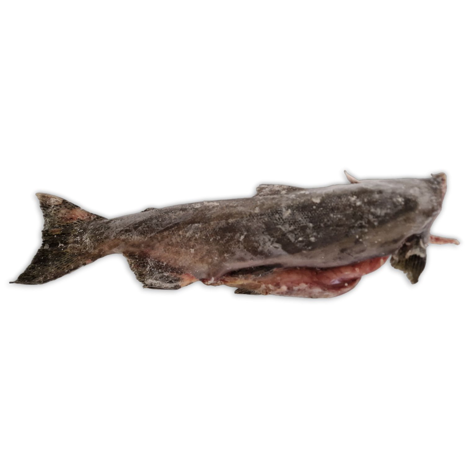 Chinook Salmon HG 7-10lb IQF 1 x 25kg -CA