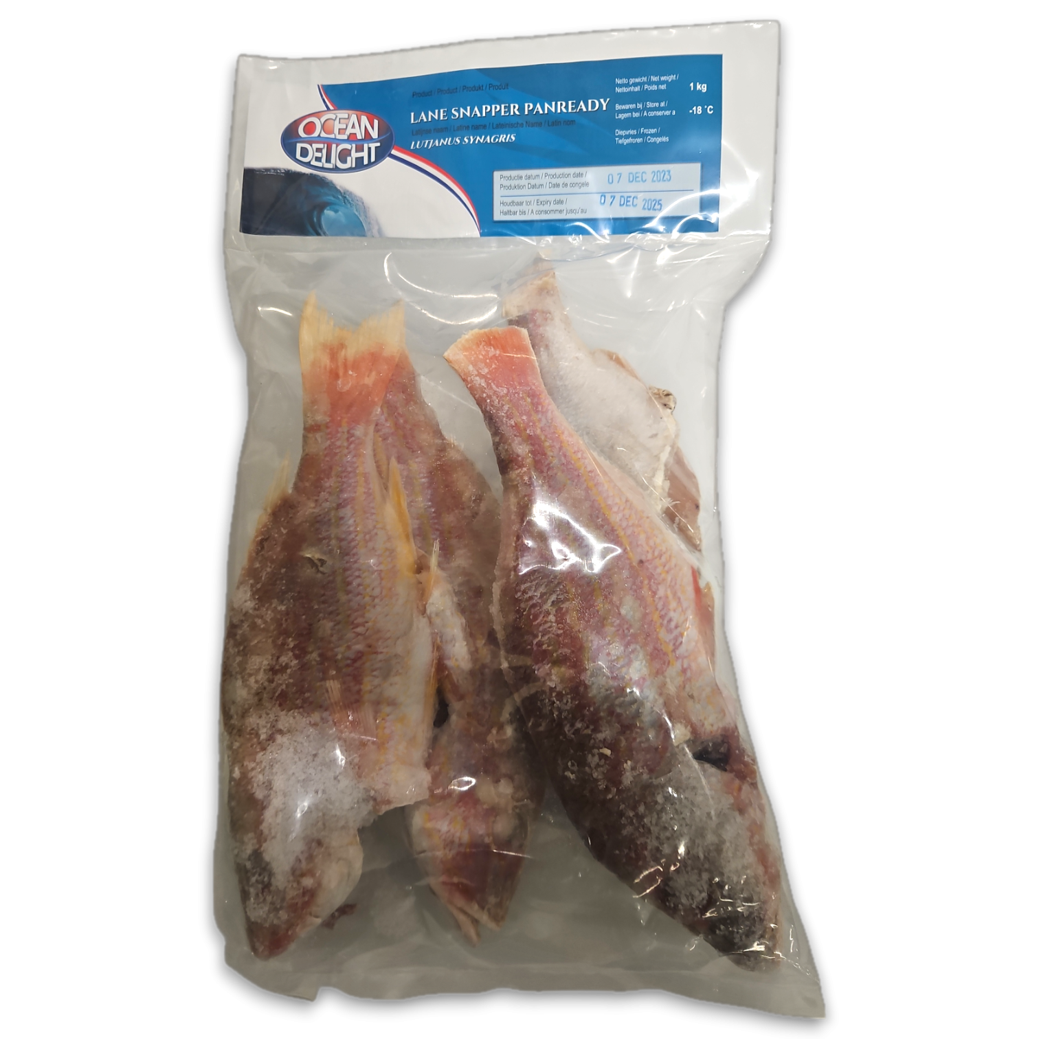 Ocean Delight Lane Snapper WGS 200g-UP 10 x 1Kg SR