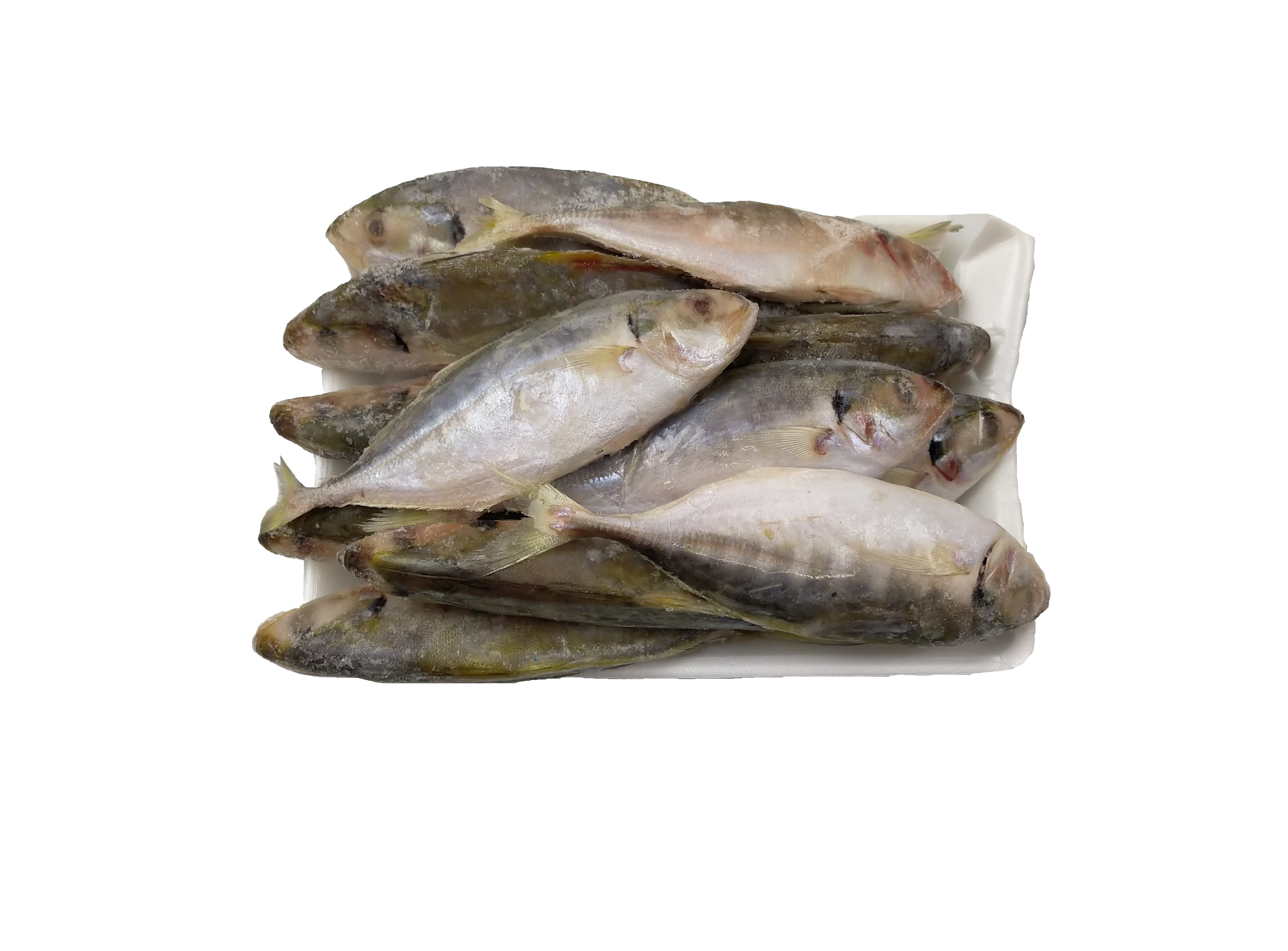 Yellow Tail Scad Whole/Atule Mate 10-12p VAC 10x1 kg 10%-VN
