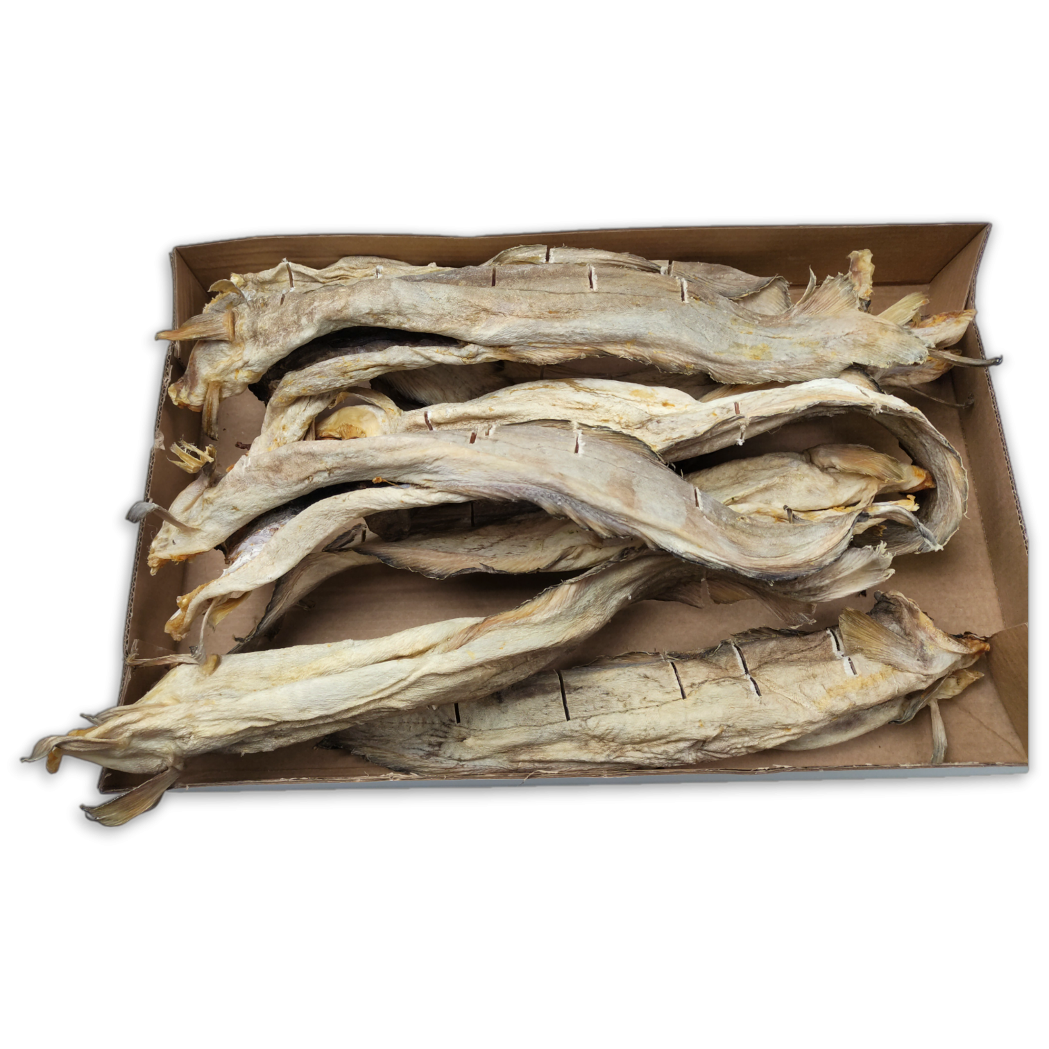 Whole Tusk 30/60 Pre-cut Naturally Dried -Brosme- 4 kg - NO