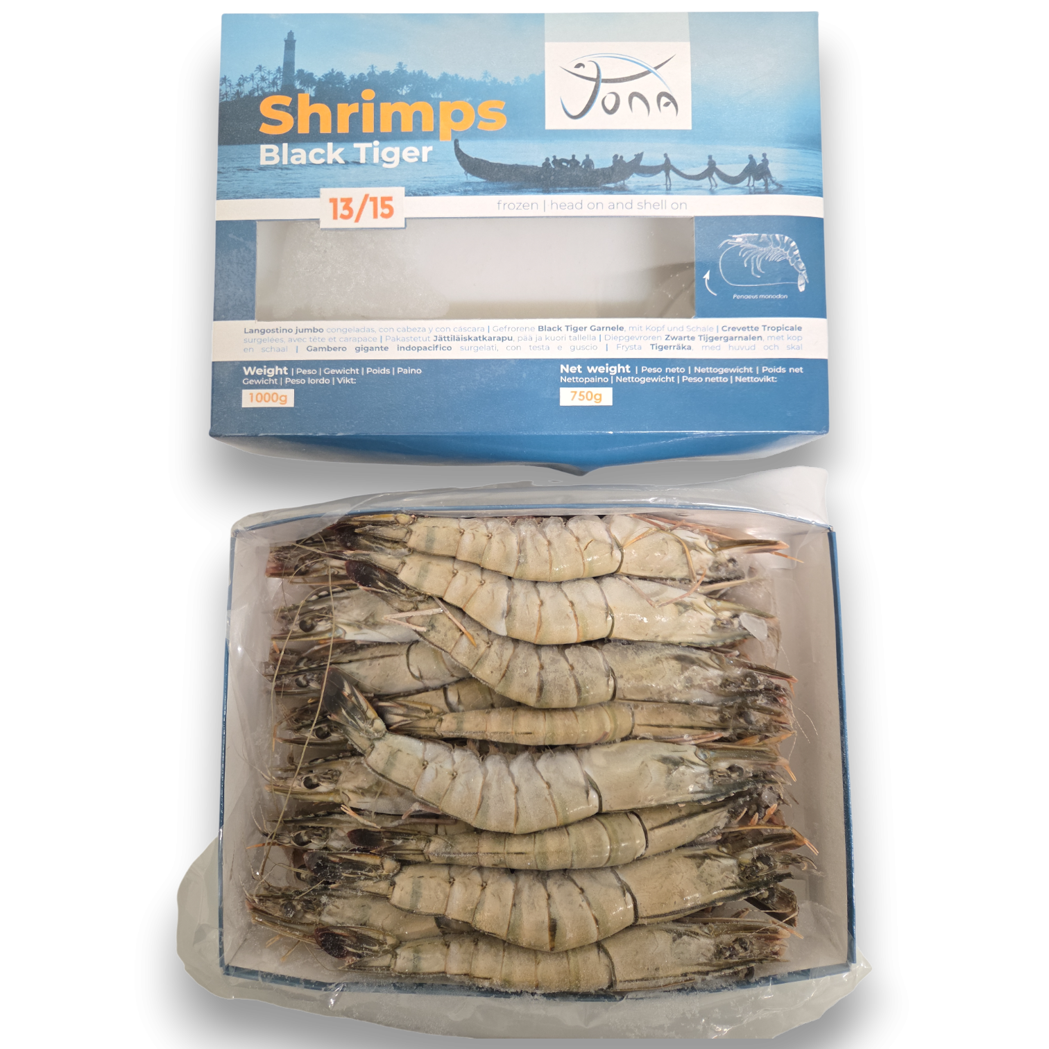 Jona Black Tiger HOSO 13/15 Semi IQF 10 x 1kg 25% -IN