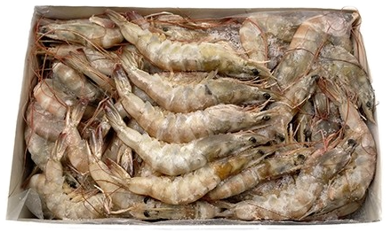Jona Vannamei shrimps HOSO 30/40 10 x 1 kg 25%-IN