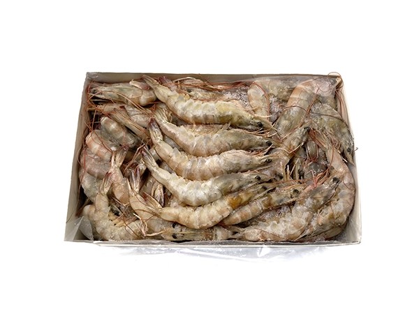 Jona Vannamei shrimps HOSO 40/50 6 x 2 kg 25%-IN