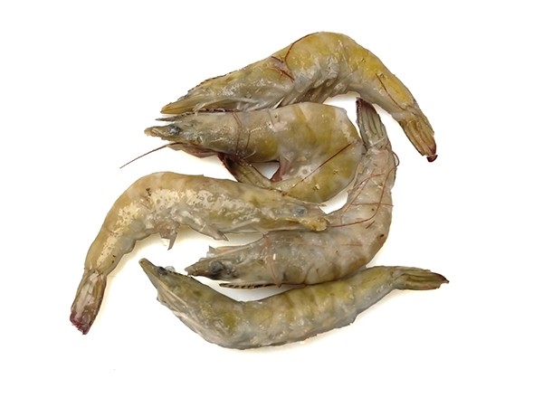 Jona Premium Vannamei shrimps HOSO 50/60 6 x 2 kg 20% -EC