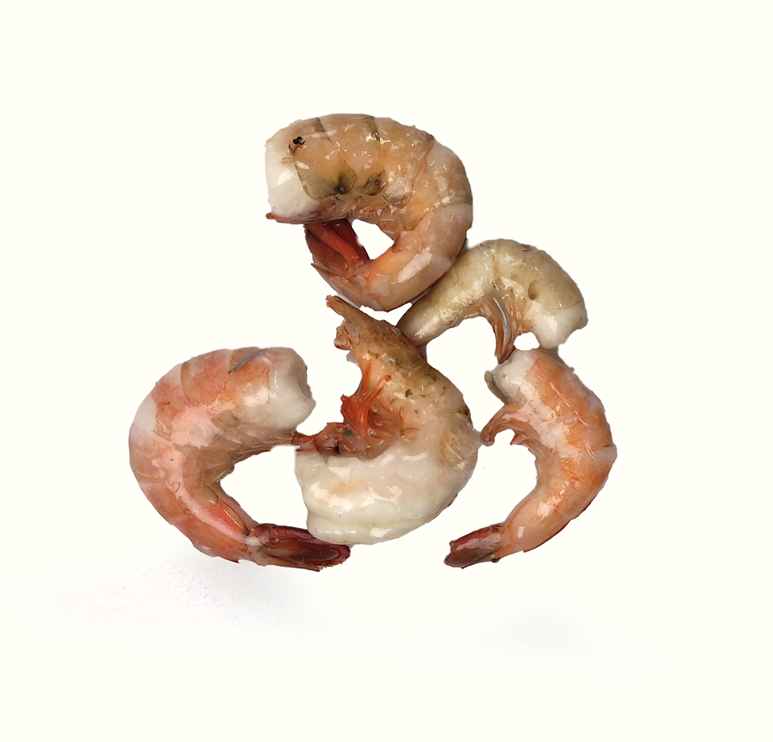 Jona Harina Shrimps HLSO easy peel 16/20 10 x 1 kg 25%-BD