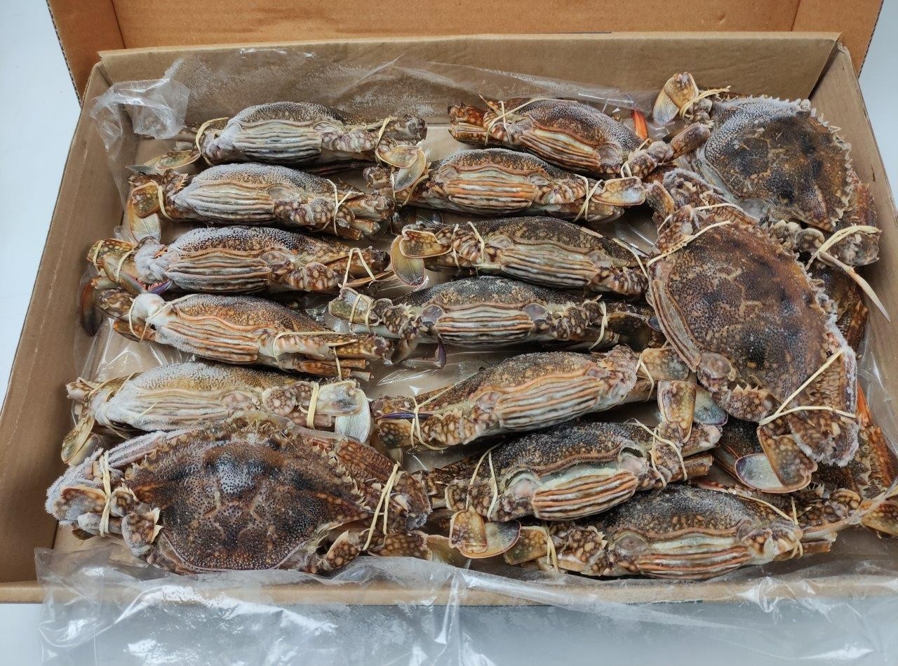 Blue Swimming Crab Whole 200/250 grs up IQF/IWP 2 x 4 kg-TN