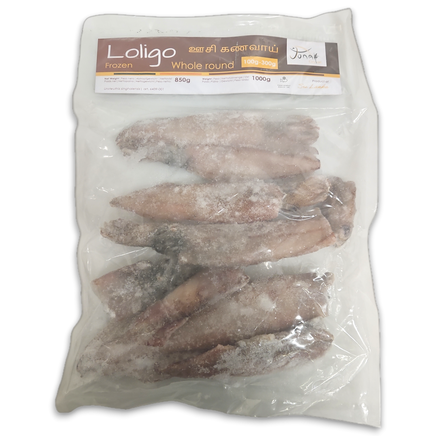 Jona Ceylon Loligo WR 100-300g IQF 10 x 1kg 15% -LK