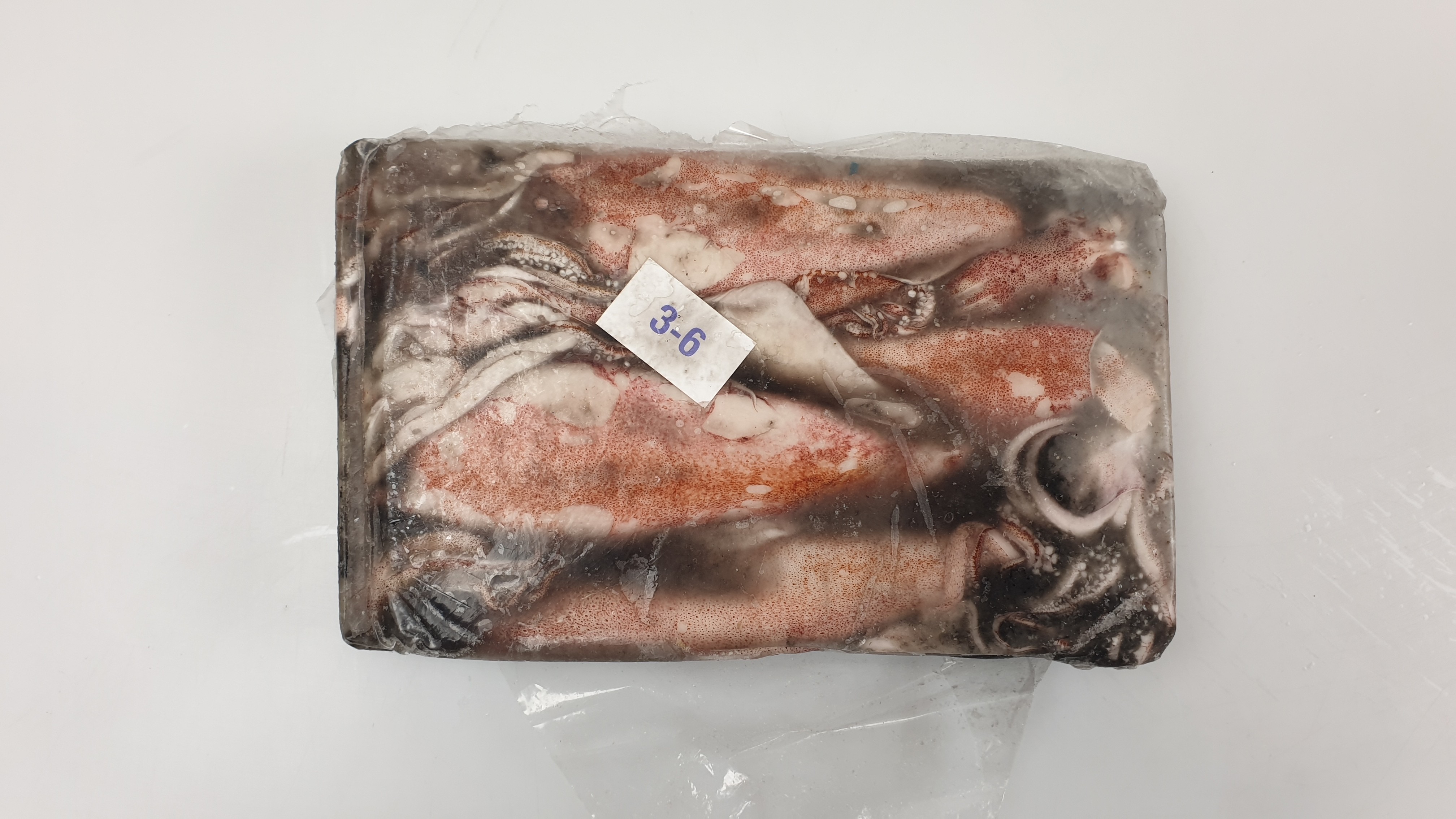 Squid Whole Loligo Duvauceli 6-10 IWP 6 x 2 kg 10%-IN