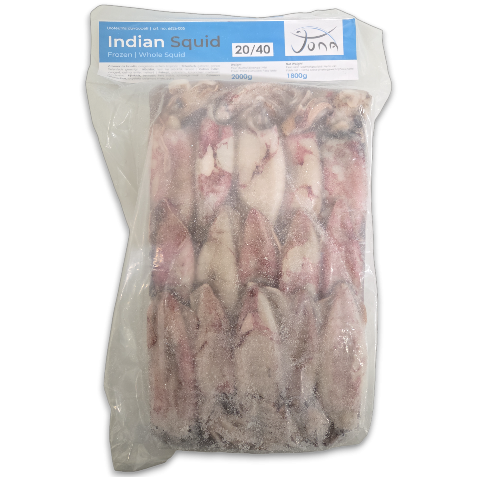 Jona Indian Squid WR Cleaned 20/40 IQF 6 x 2kg 10% -IN