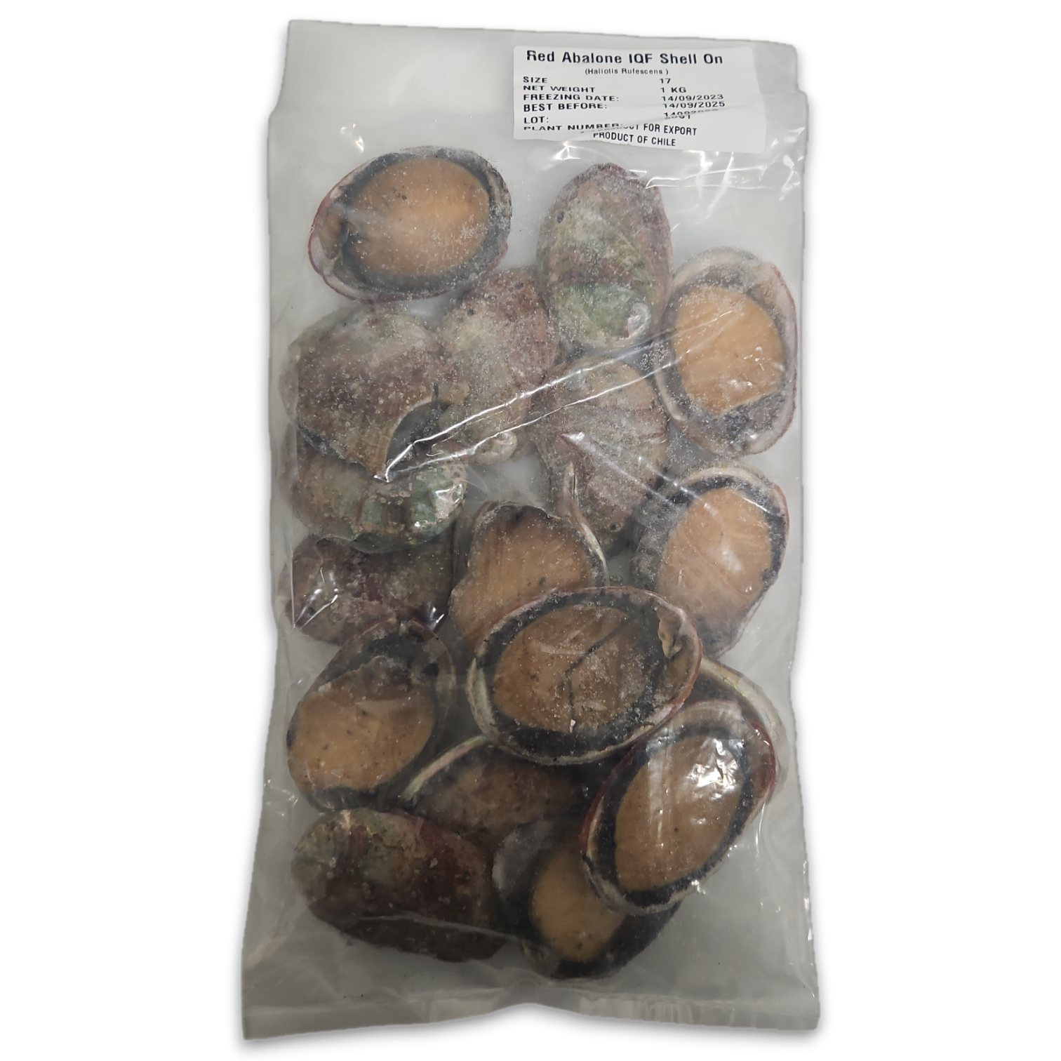Red Abalone Raw With Shell and guts IQF 10x1kg 17p 100%NW-CL