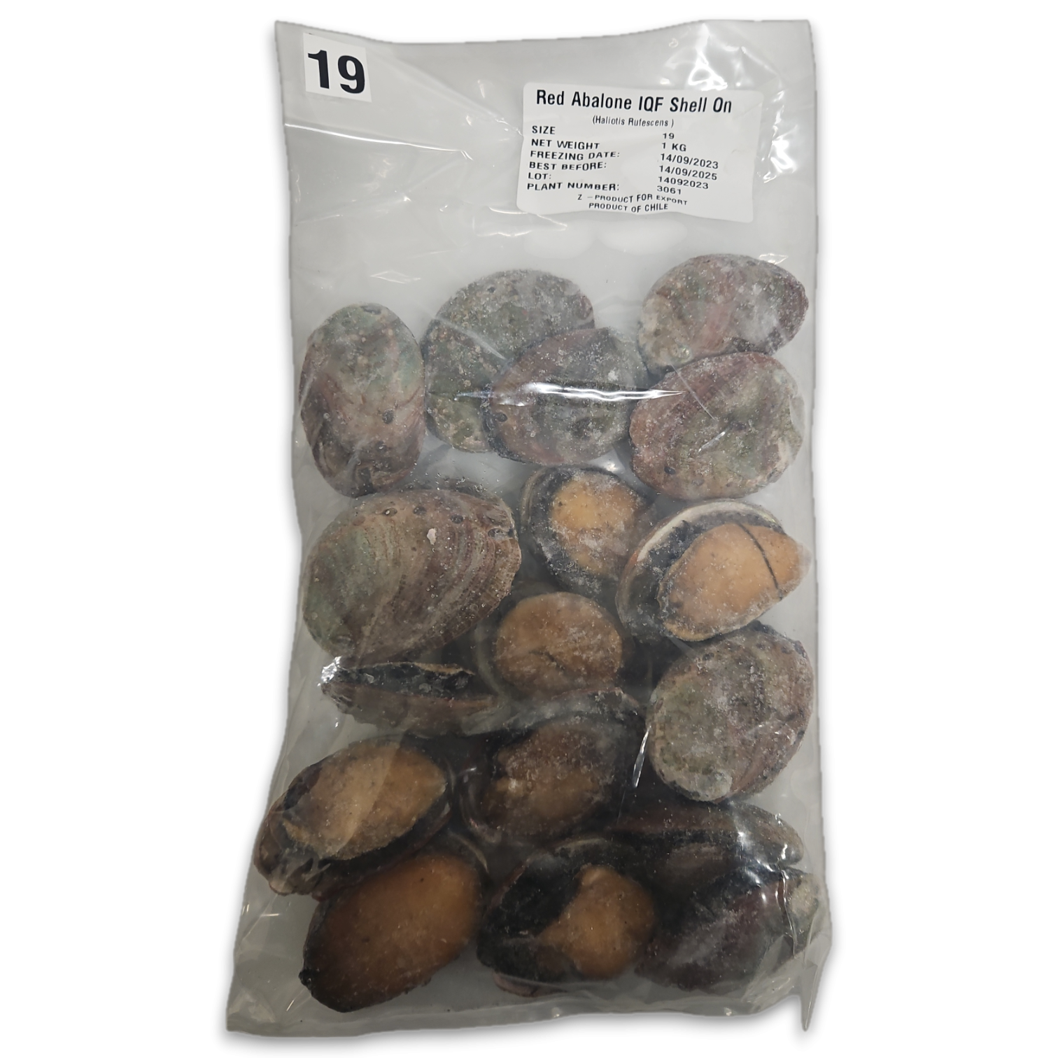 Red Abalone Raw With Shell and guts IQF 10x1kg 18p 100%NW-CL