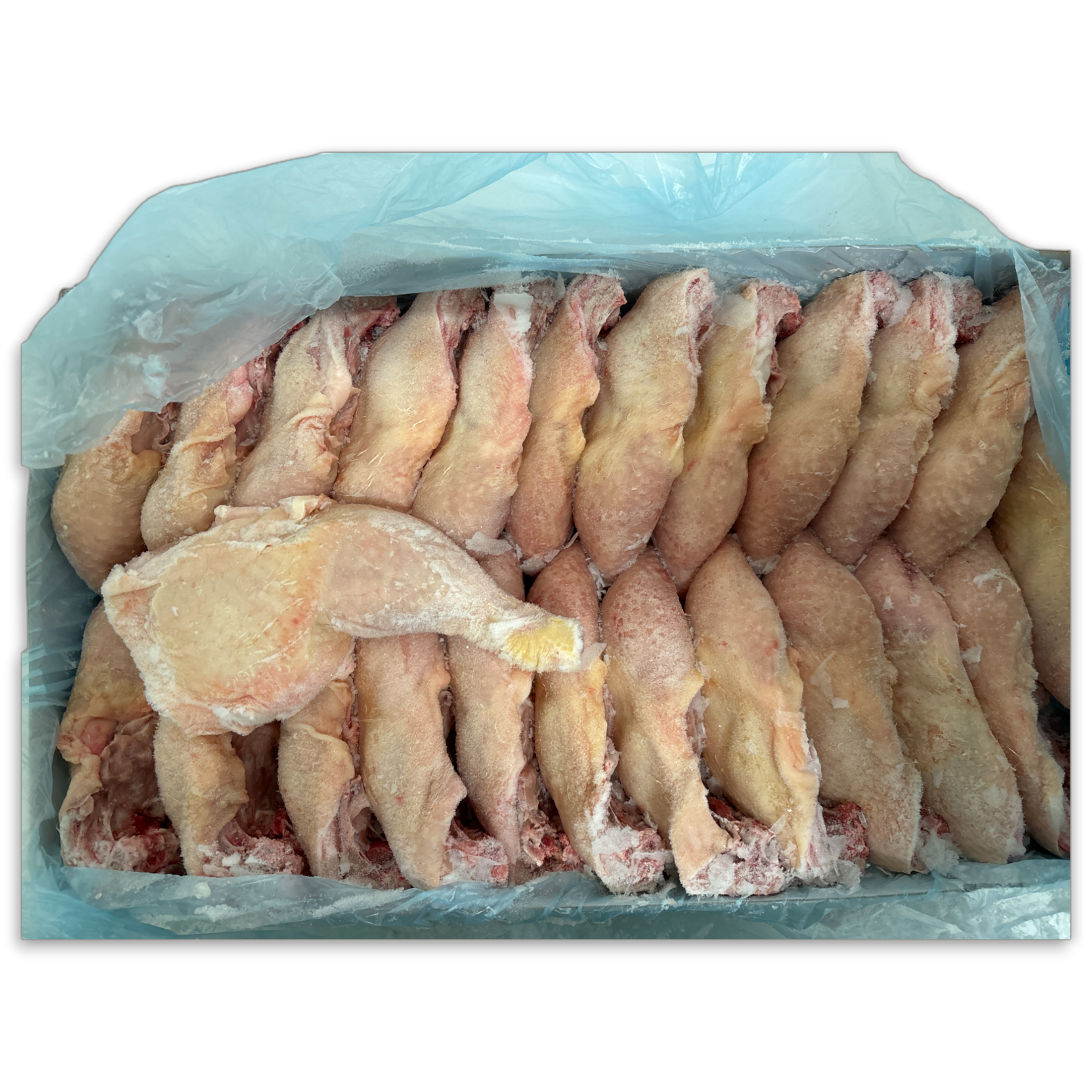 Kokolo Chickenleg Quarters Halal AAA grade 10 kg-NL