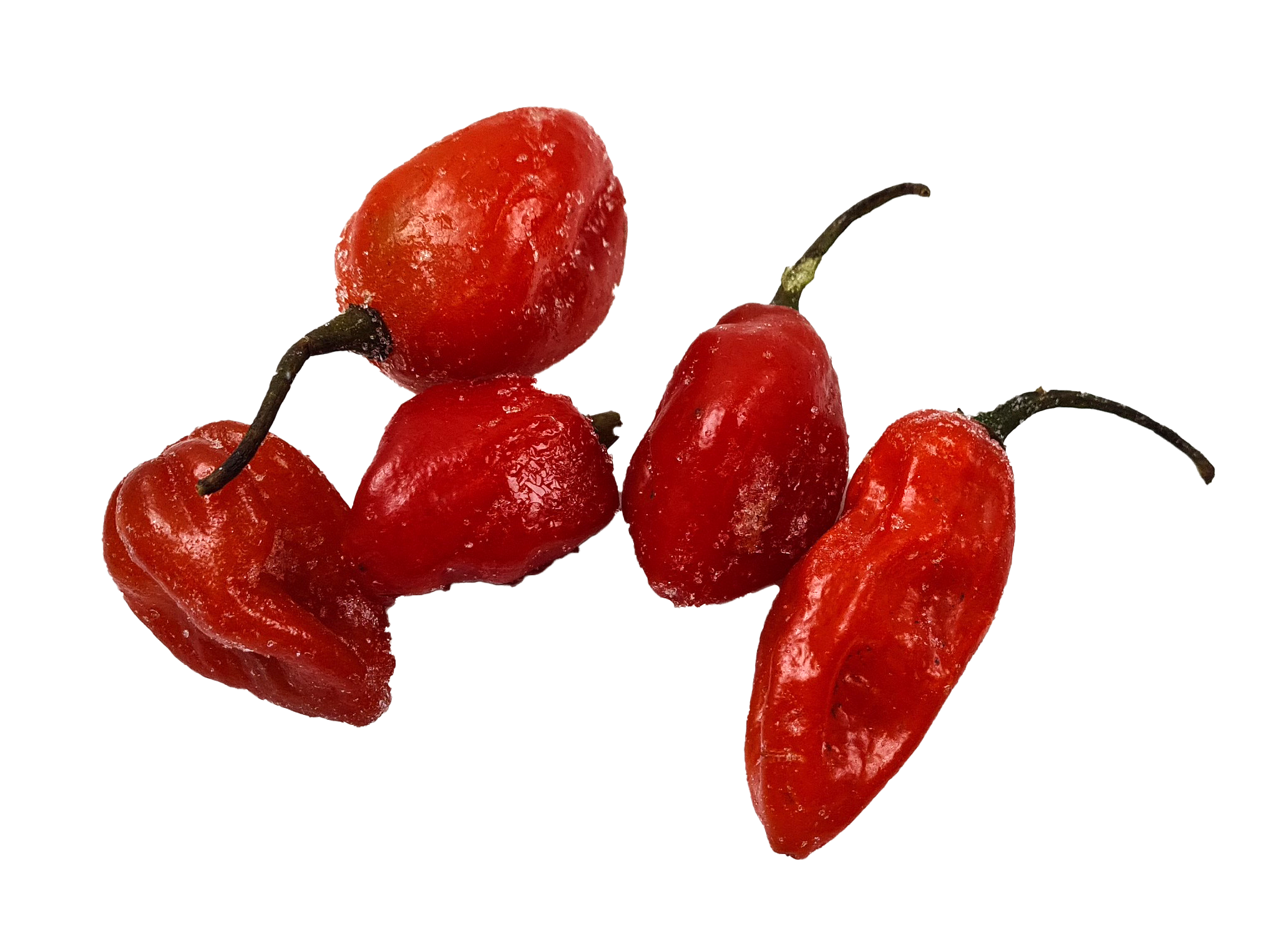Red Hot peppers / habanero / pili pili 50 x 227gr-CM