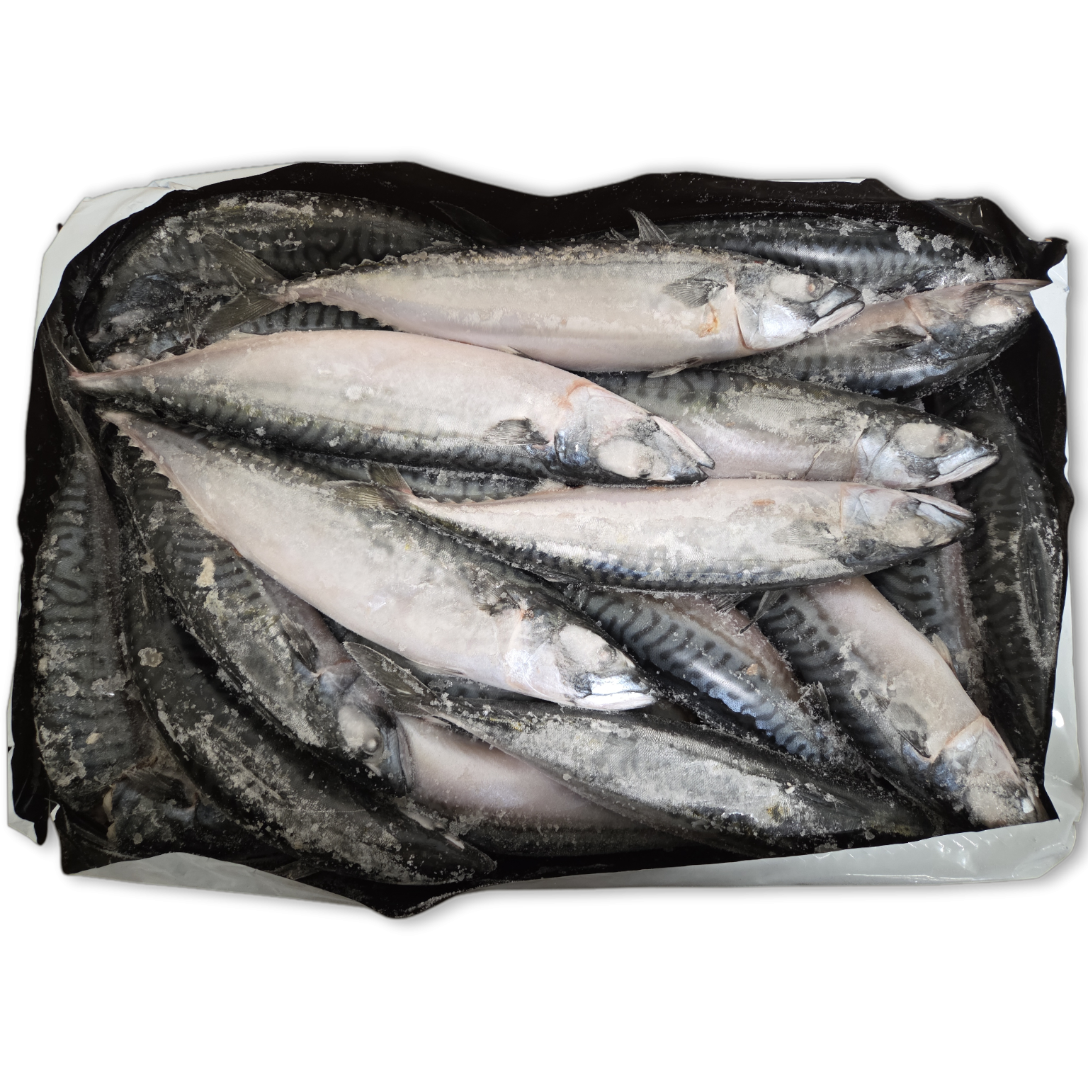 Pelagos Mackerel WR 500gr-UP Block 2 x 12.5kg -FO