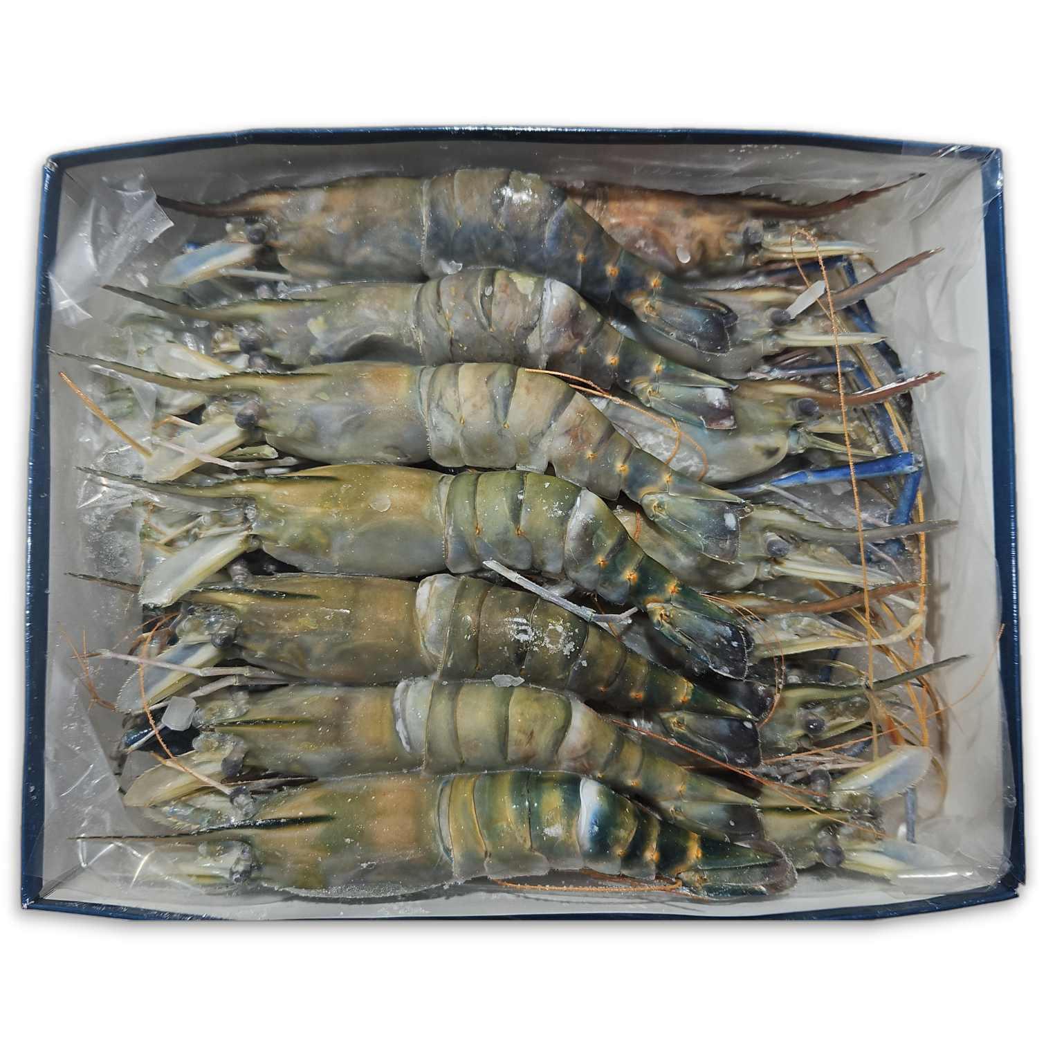 Jona Fresh Water shrimps HOSO 13/15 10 x 1 kg 20%-BD