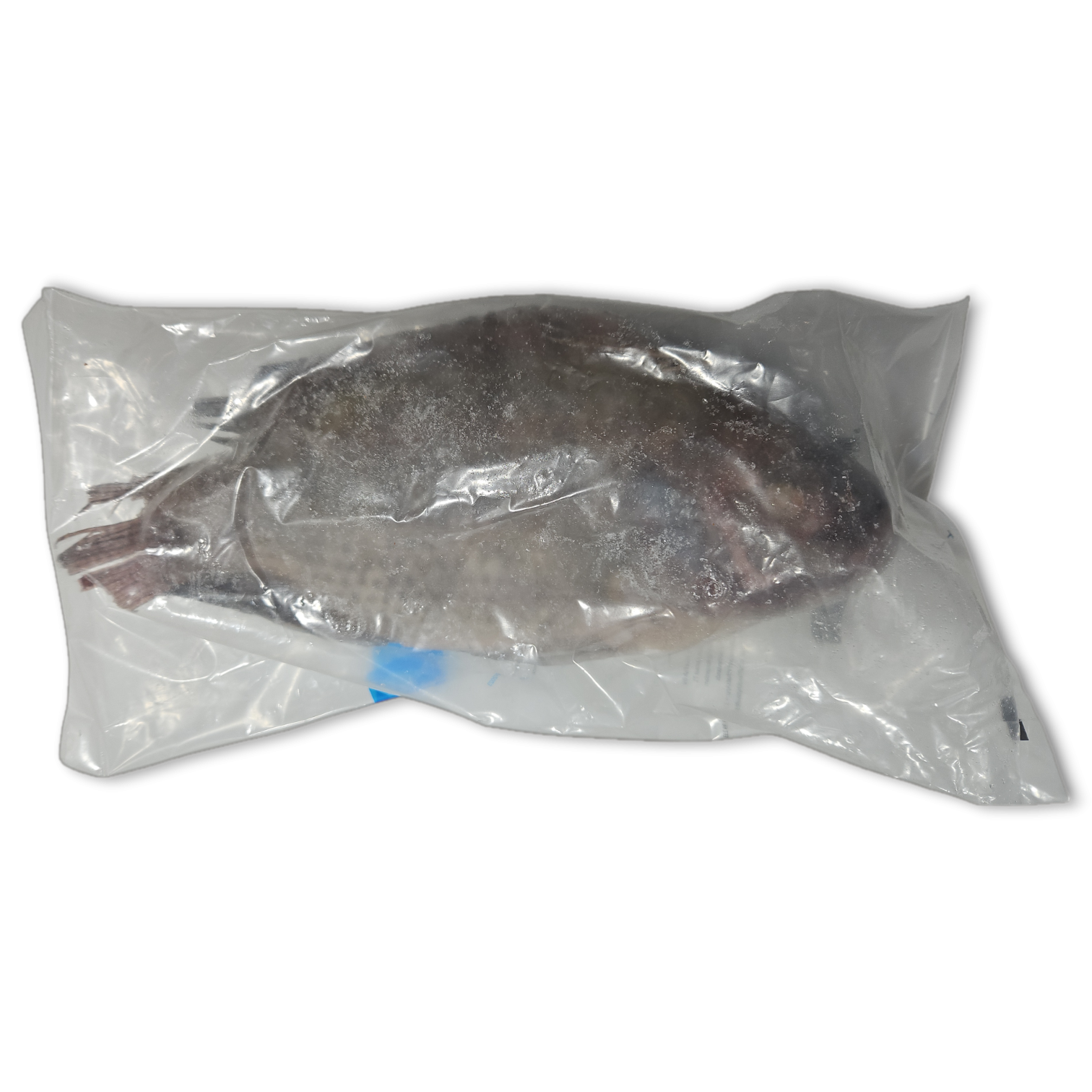 Tilapia G&S 500-800 gr 4 kg 20%-CN