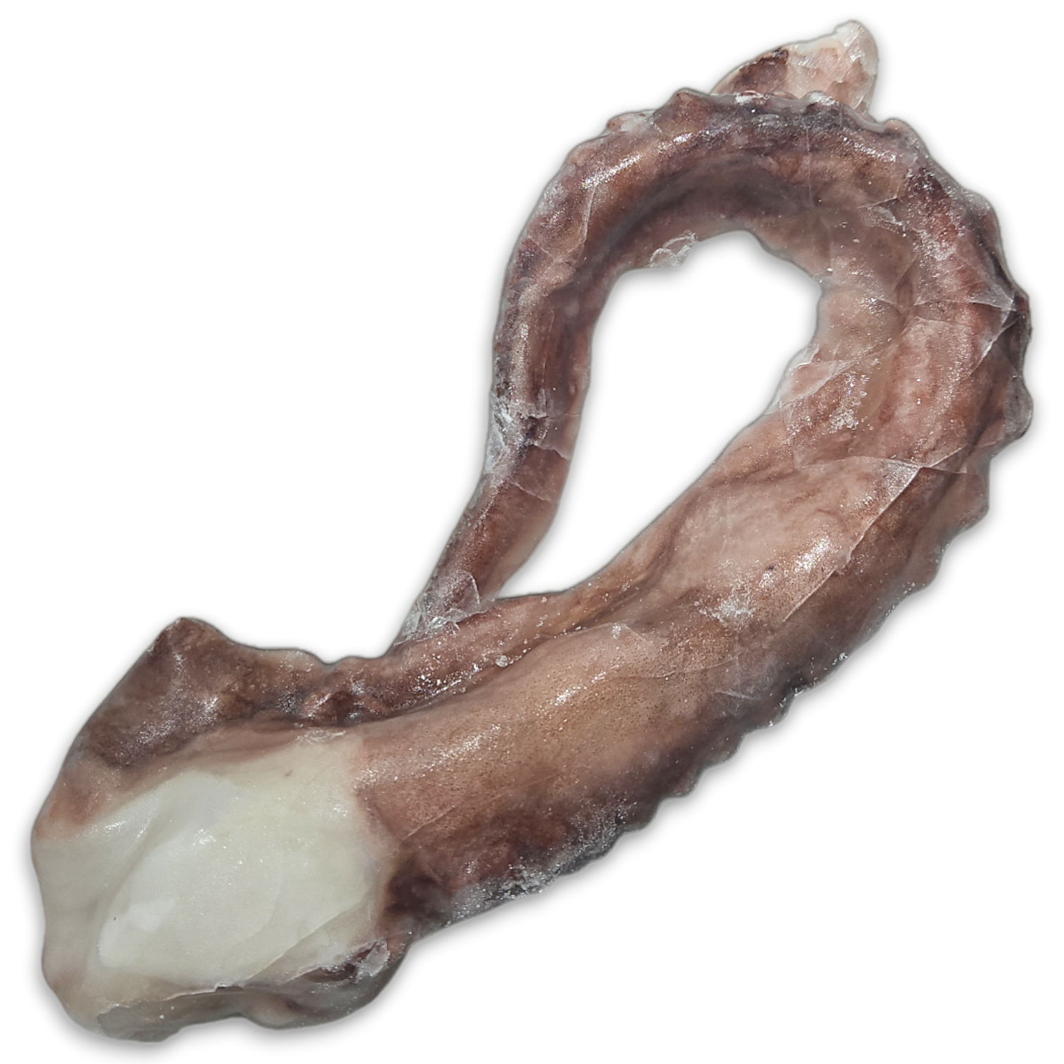 Giant Squid Tentacles 500-1000 grs 10 x 1 Kg 10%-PT