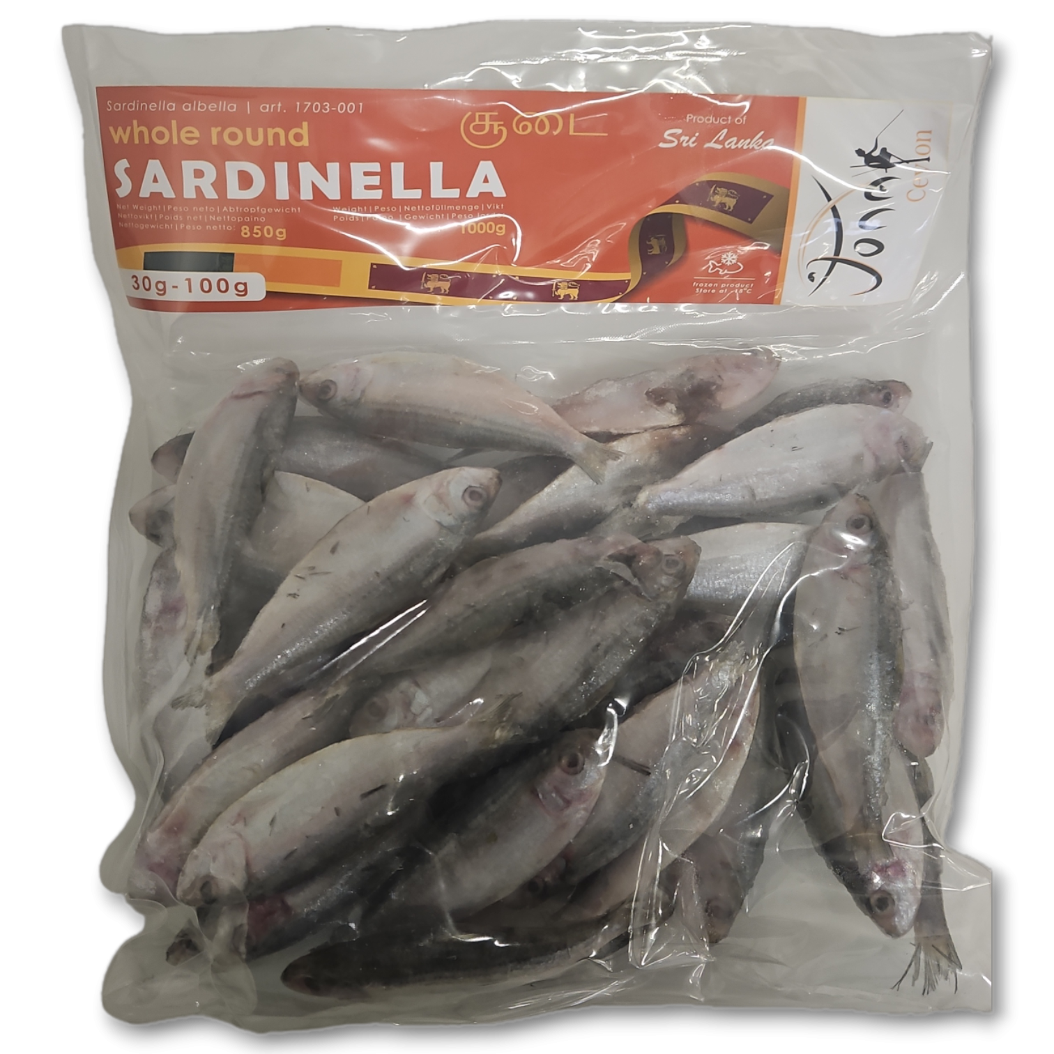 Jona Ceylon White Sardinella WR 30-100g 10 X 1 Kg IQF 15%-LK